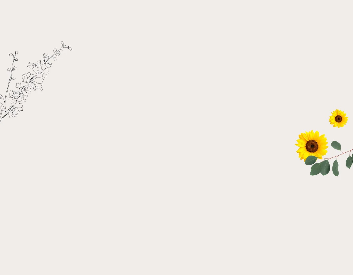 background3.jpg