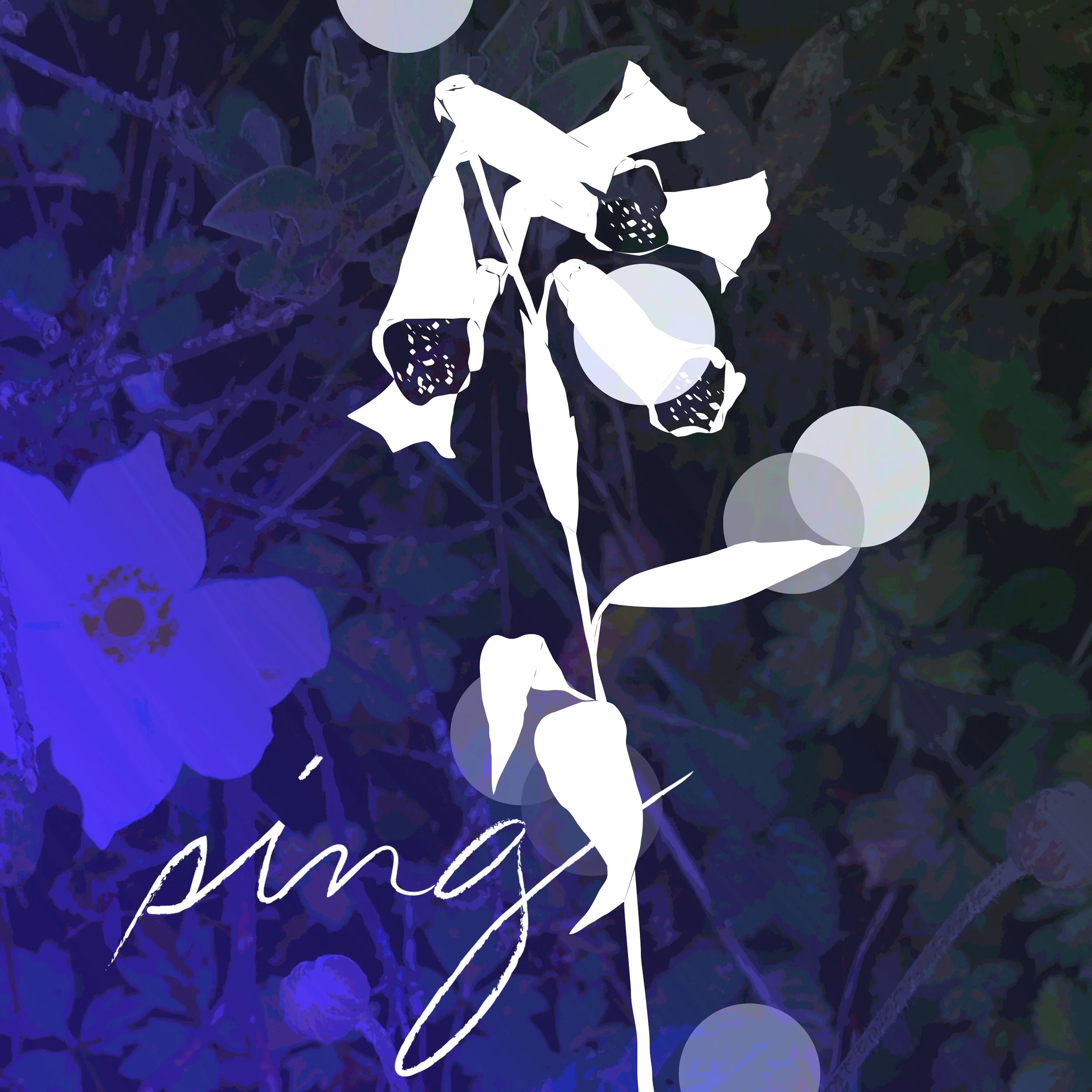 04-GB-Sing-SPRING NIGHT.jpg