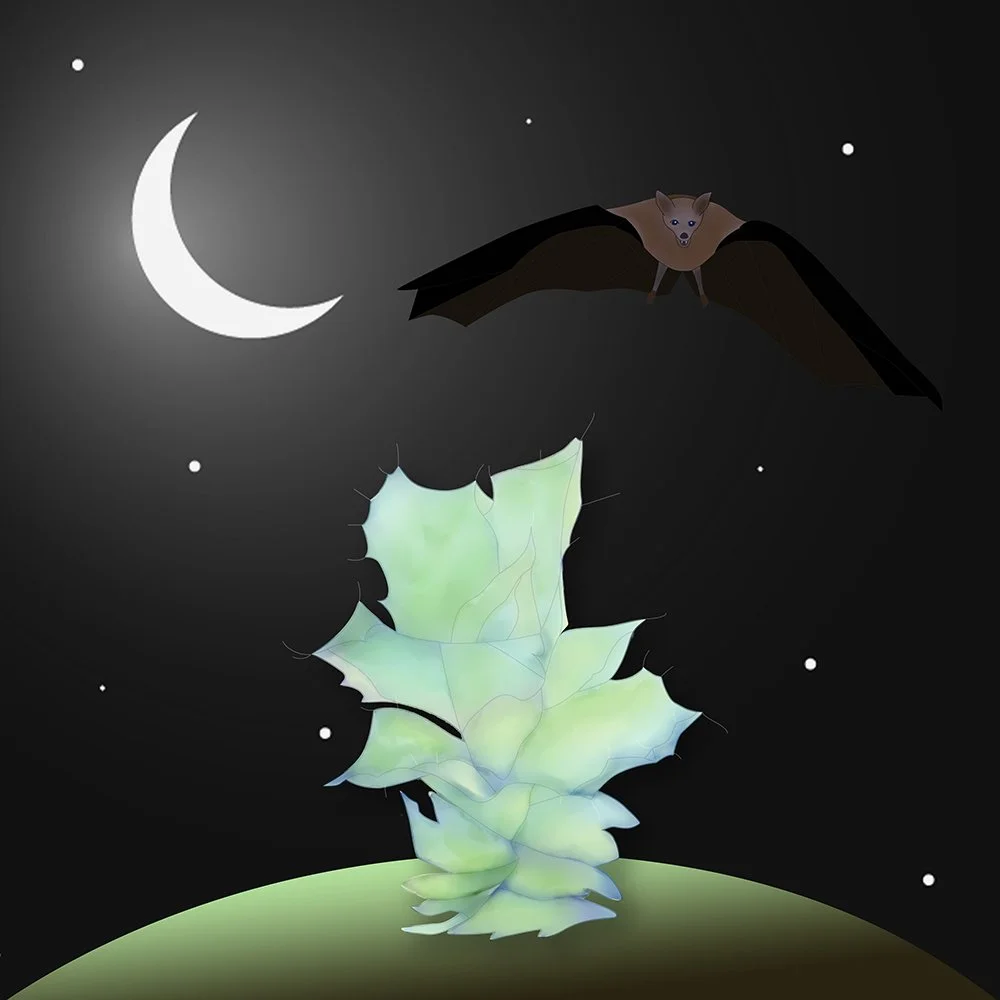 The opposite of violence isn’t peace. It’s community.