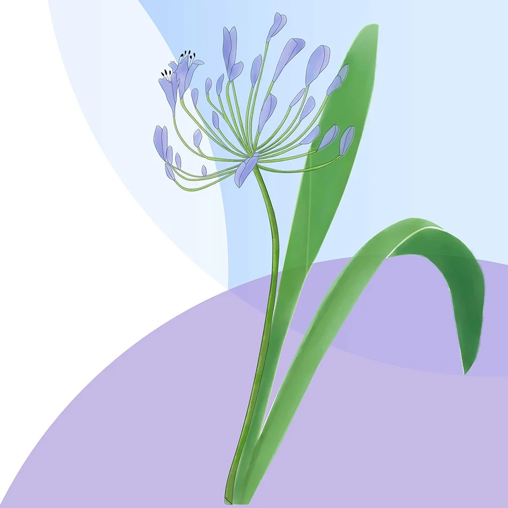 Survival of the kindest