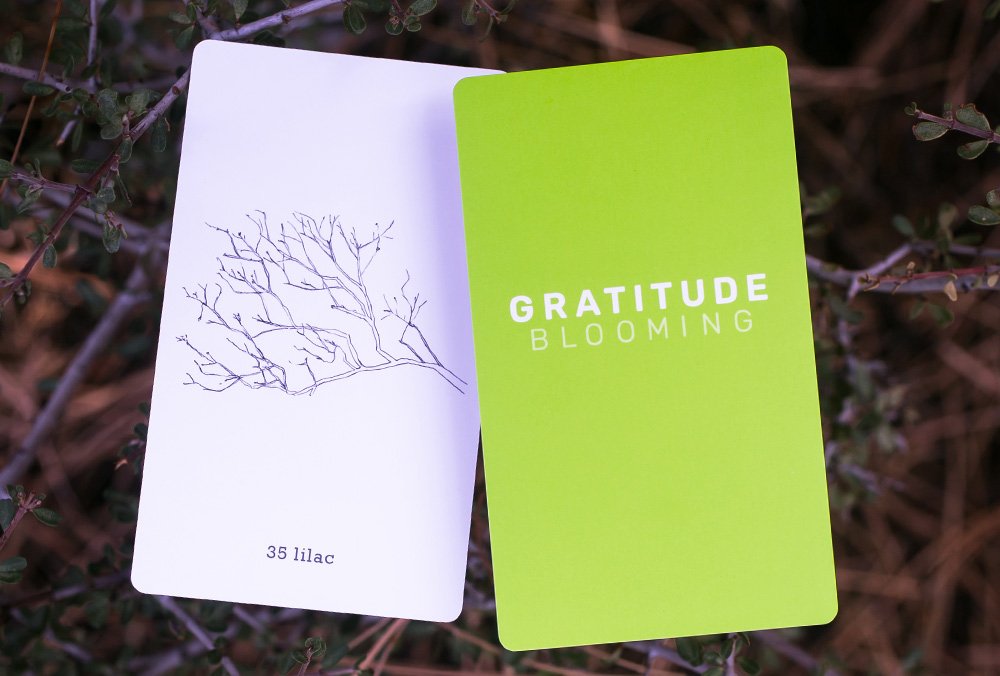 lilac.jpg