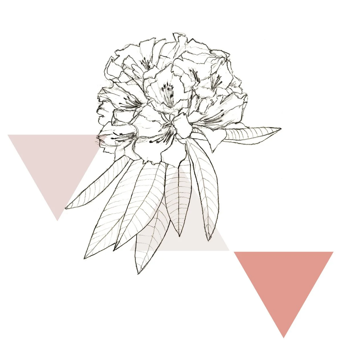 Everything is alive and everything is listening to you