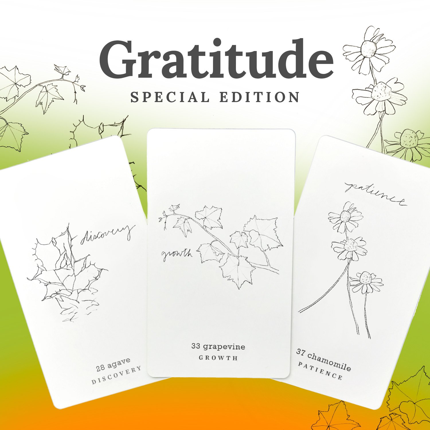 Why Gratitude? Practice Live with the Gratitude Blooming Team