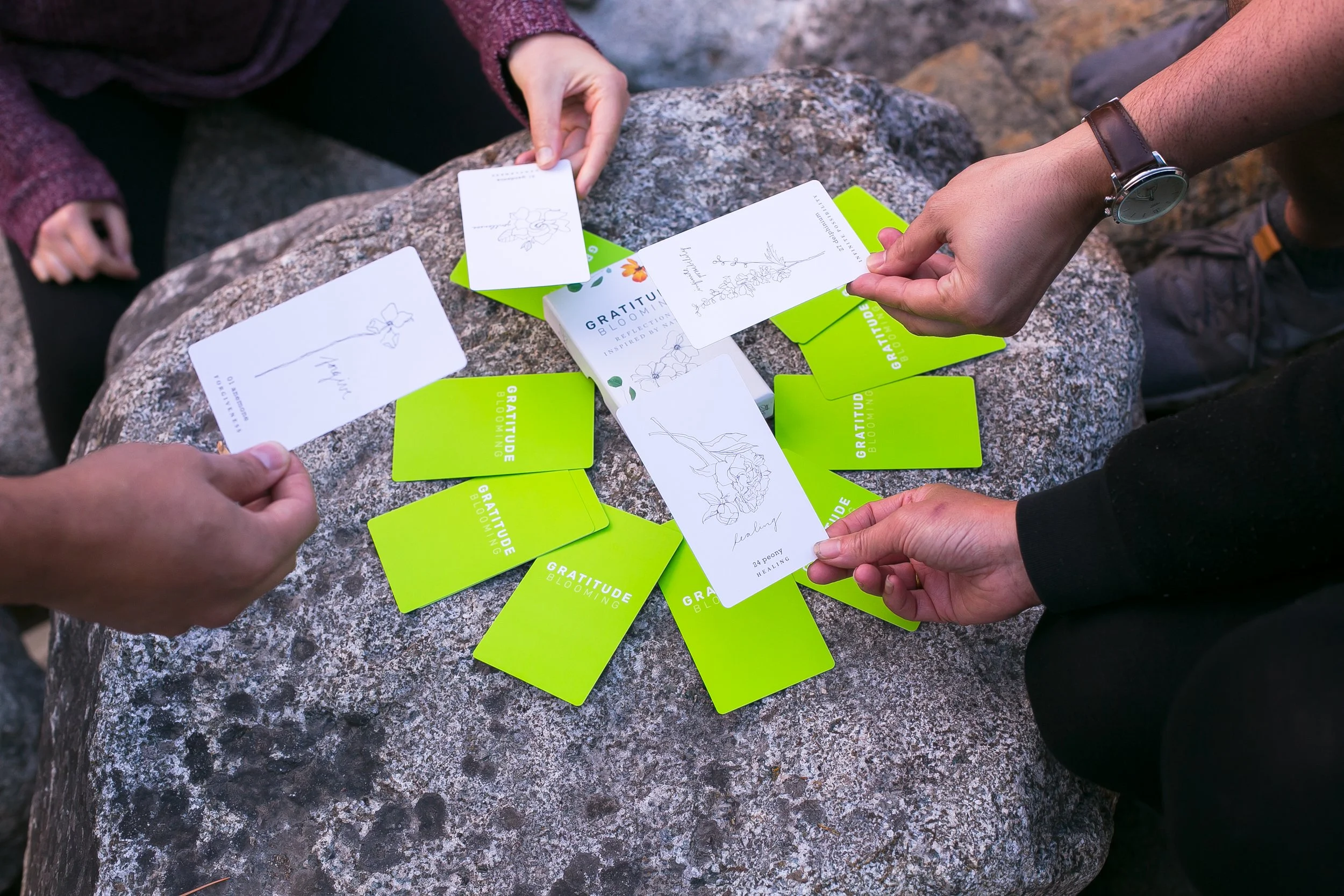 Gratitude Blooming reflection cards spread showing nature illustrations