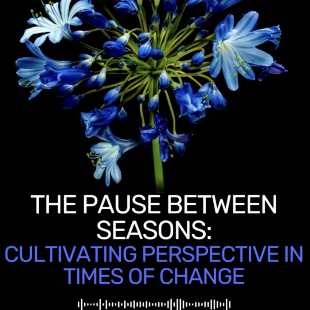 The Pause Between Seasons: Cultivating Perspective in Times of Change