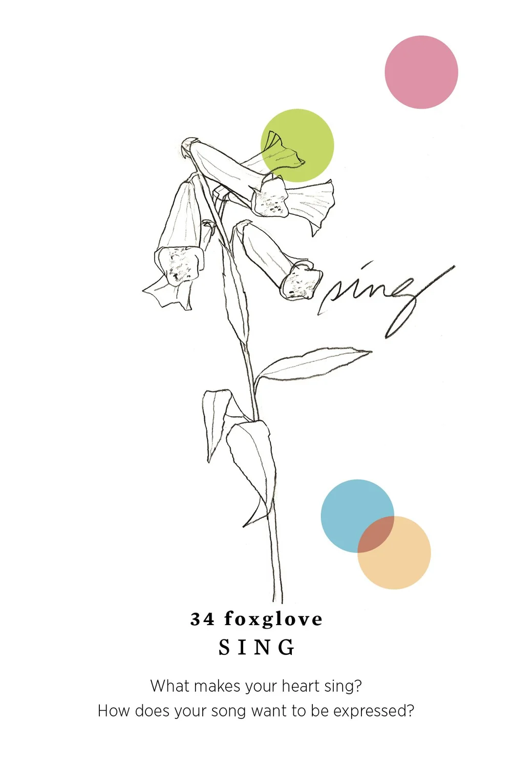 Gratitude Blooming notecards