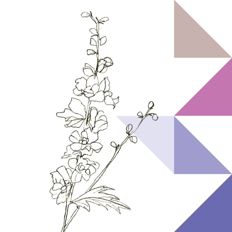 27 Possibility — Gratitude Blooming