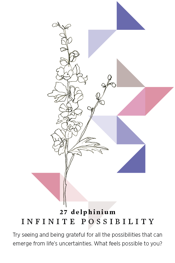 27 Possibility — Gratitude Blooming