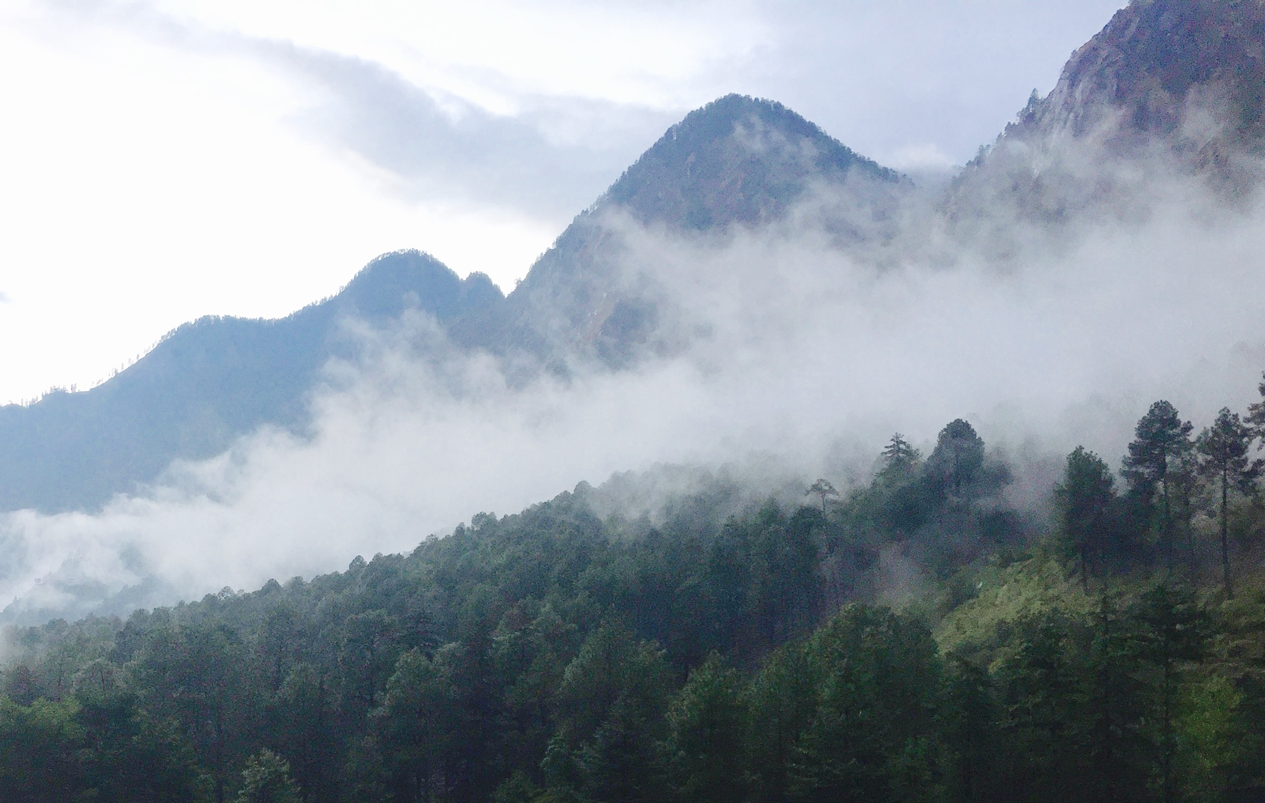 The morning mist on Parvati valley 
