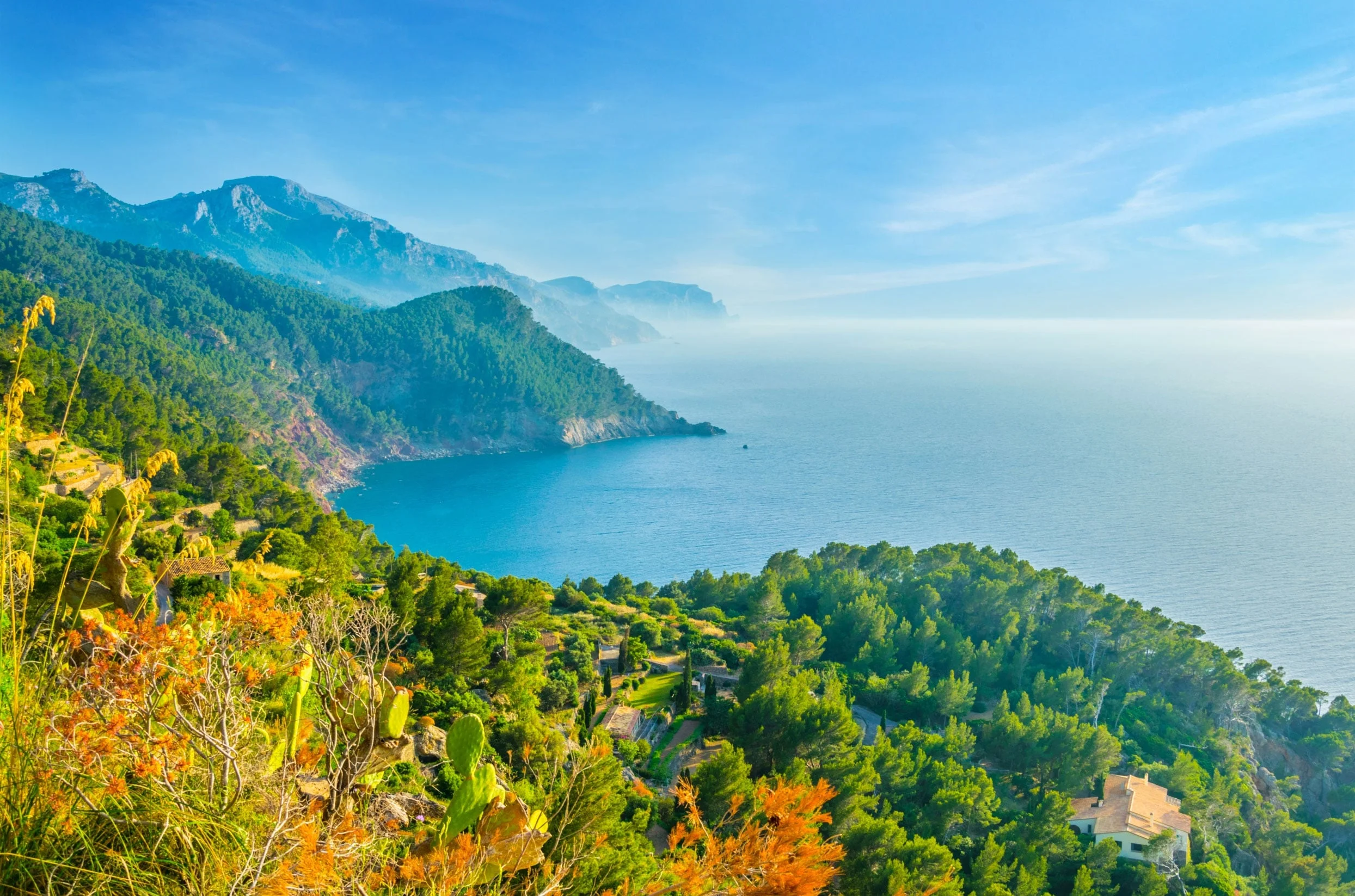 mallorca12.jpg