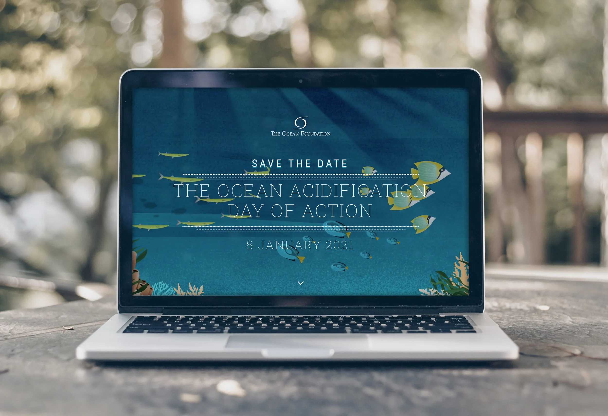 The Ocean Foundation