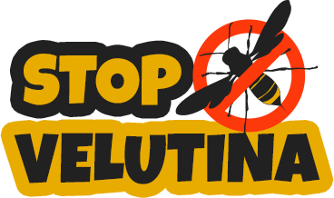 LOGO 8.png