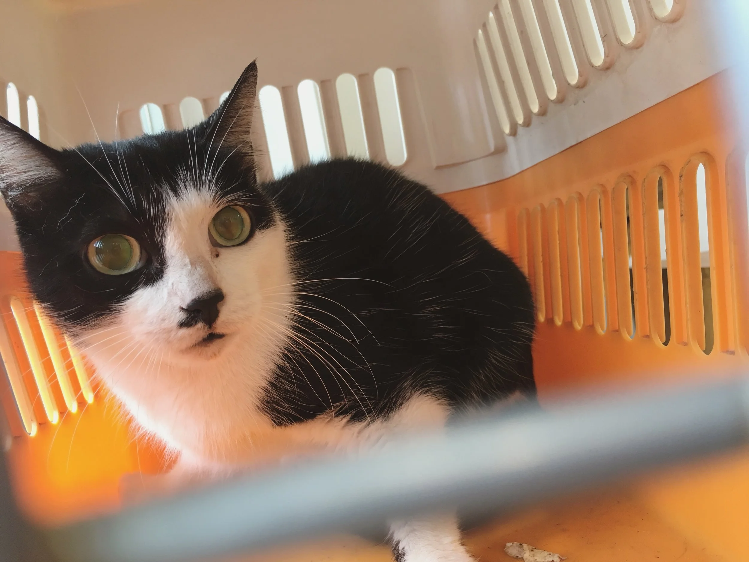 Mission 1：從認識自己的社區做起