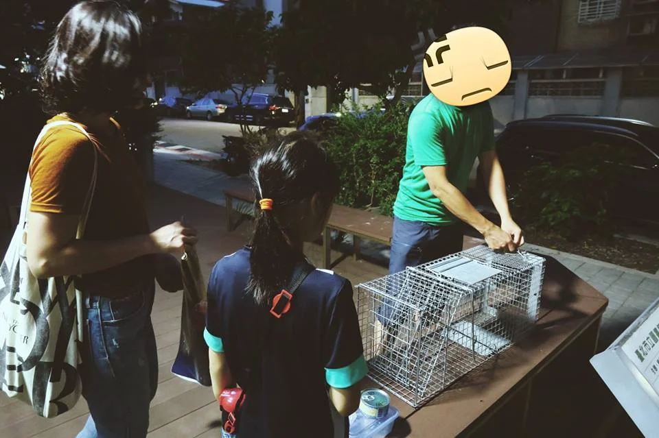 妹妹三兩分鐘就學會使用誘補籠了，看來未來TNR的推行有望了 照片來源：Ella