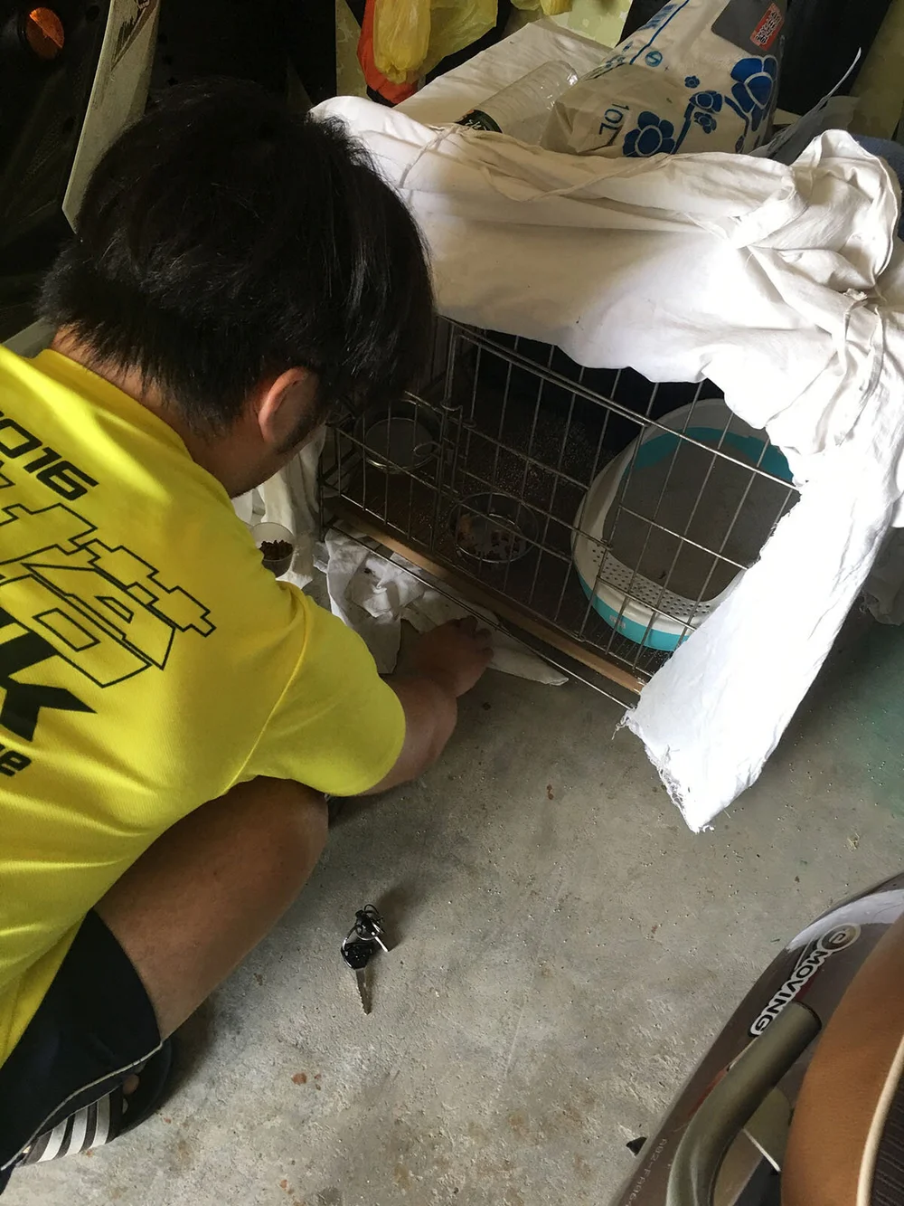 結紮後，居家照顧三天