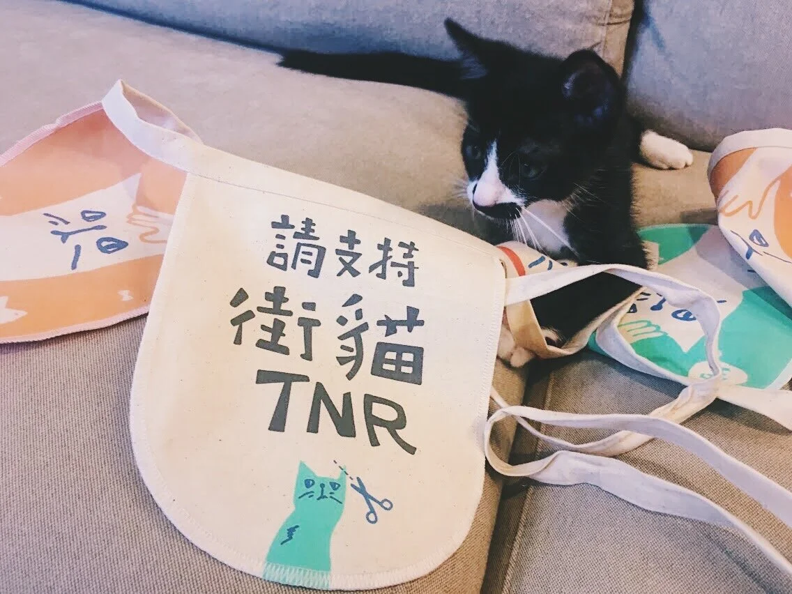 請支持街貓TNR