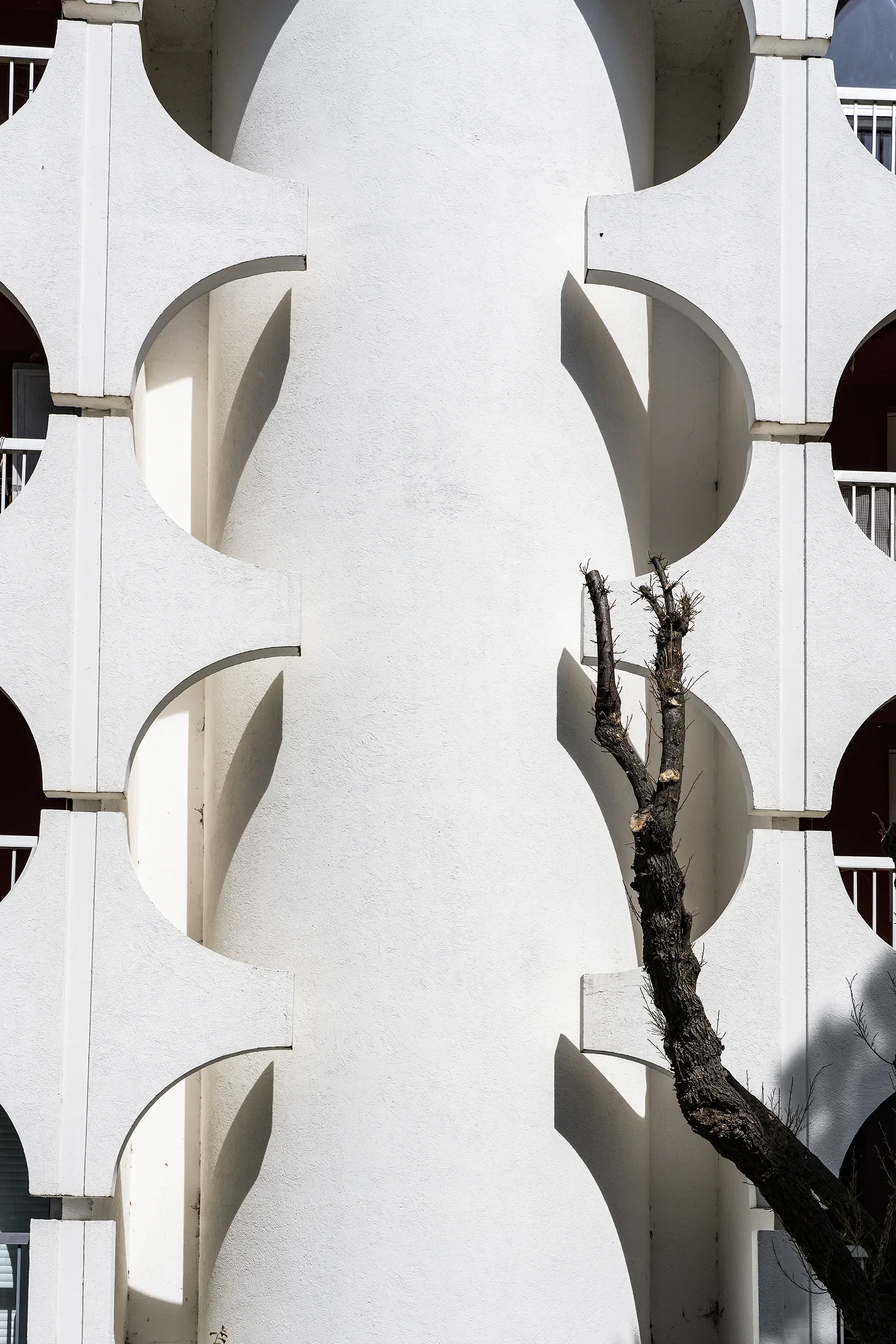 LaGrandMotte 27.webp