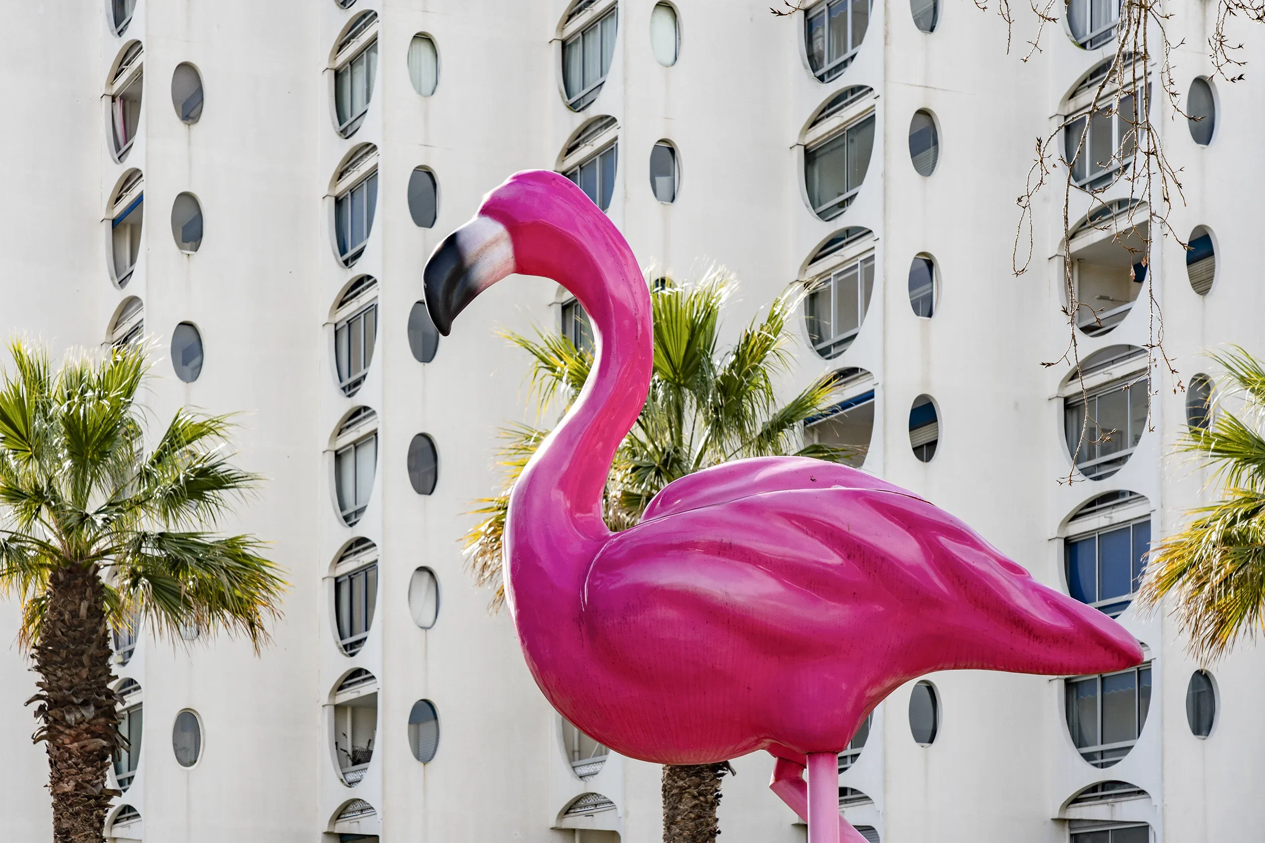 LaGrandMotte 30.webp