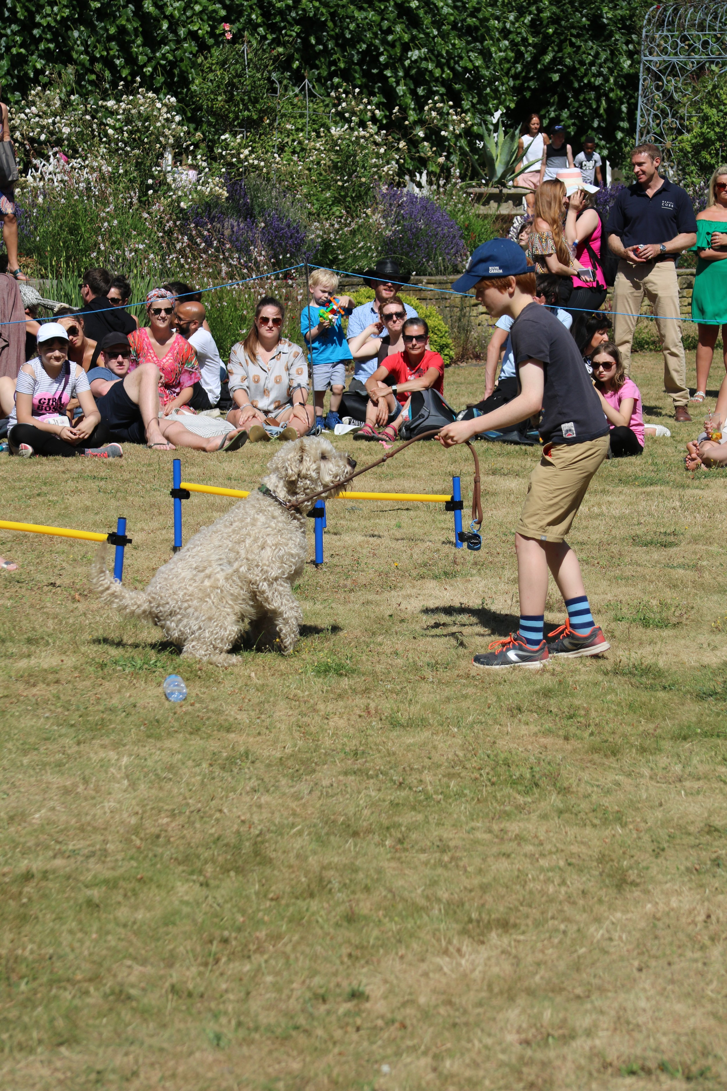 Dog show 0.JPG