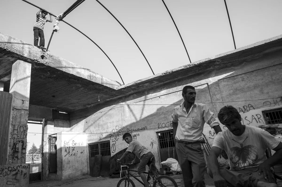 CK_Vijayakumar_Limbo-3.jpg