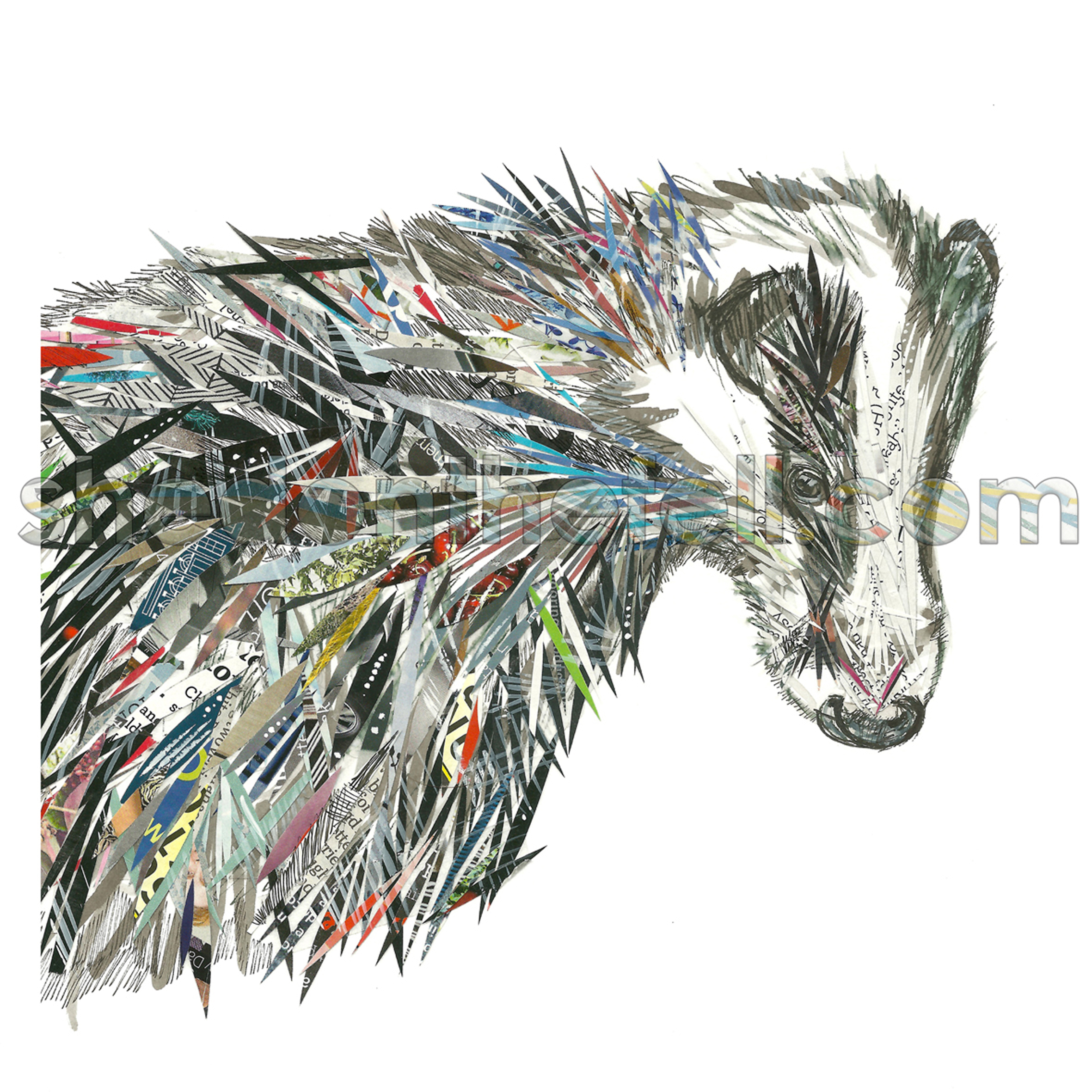 Badger1_watermark.jpg