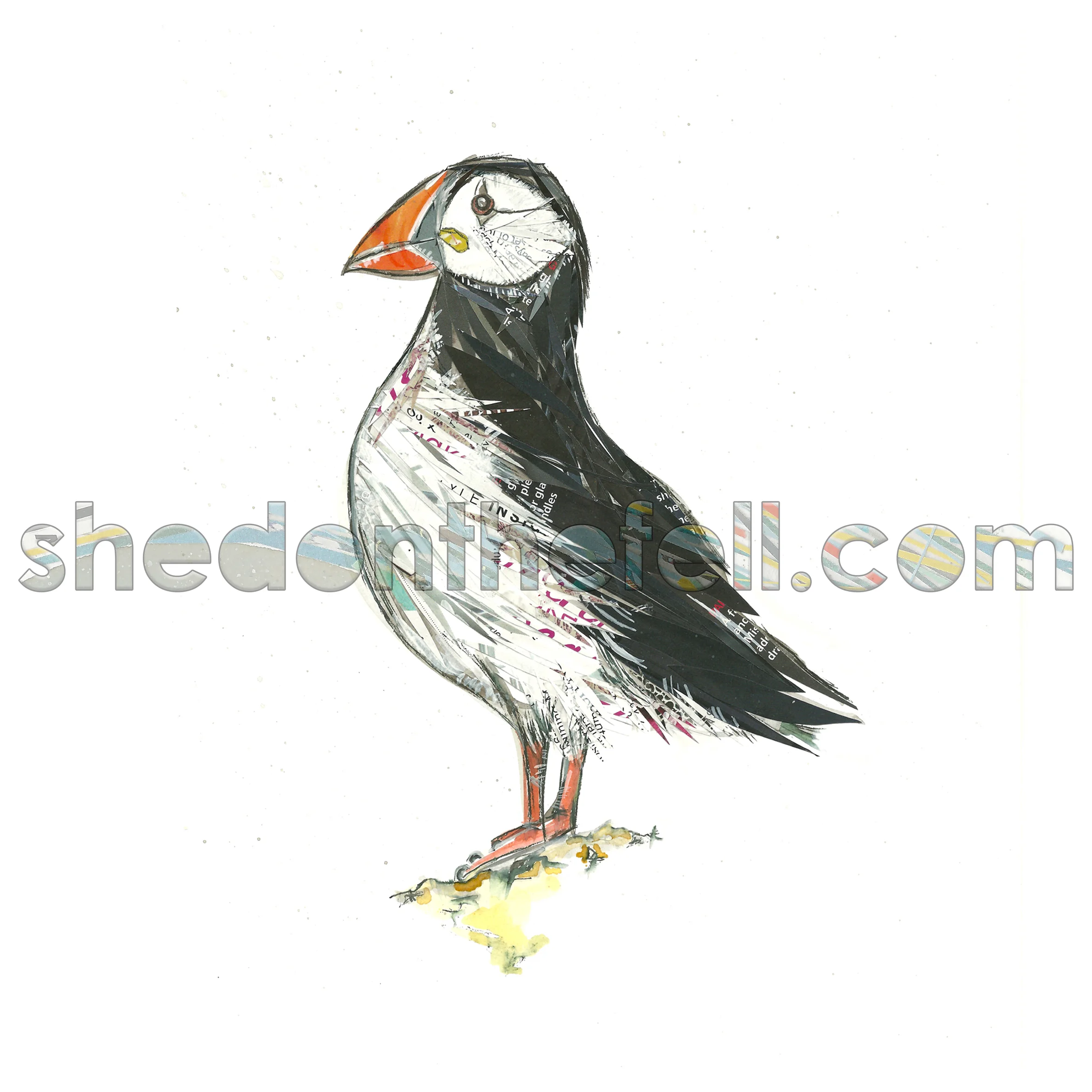 Puffin 200x200mm Print