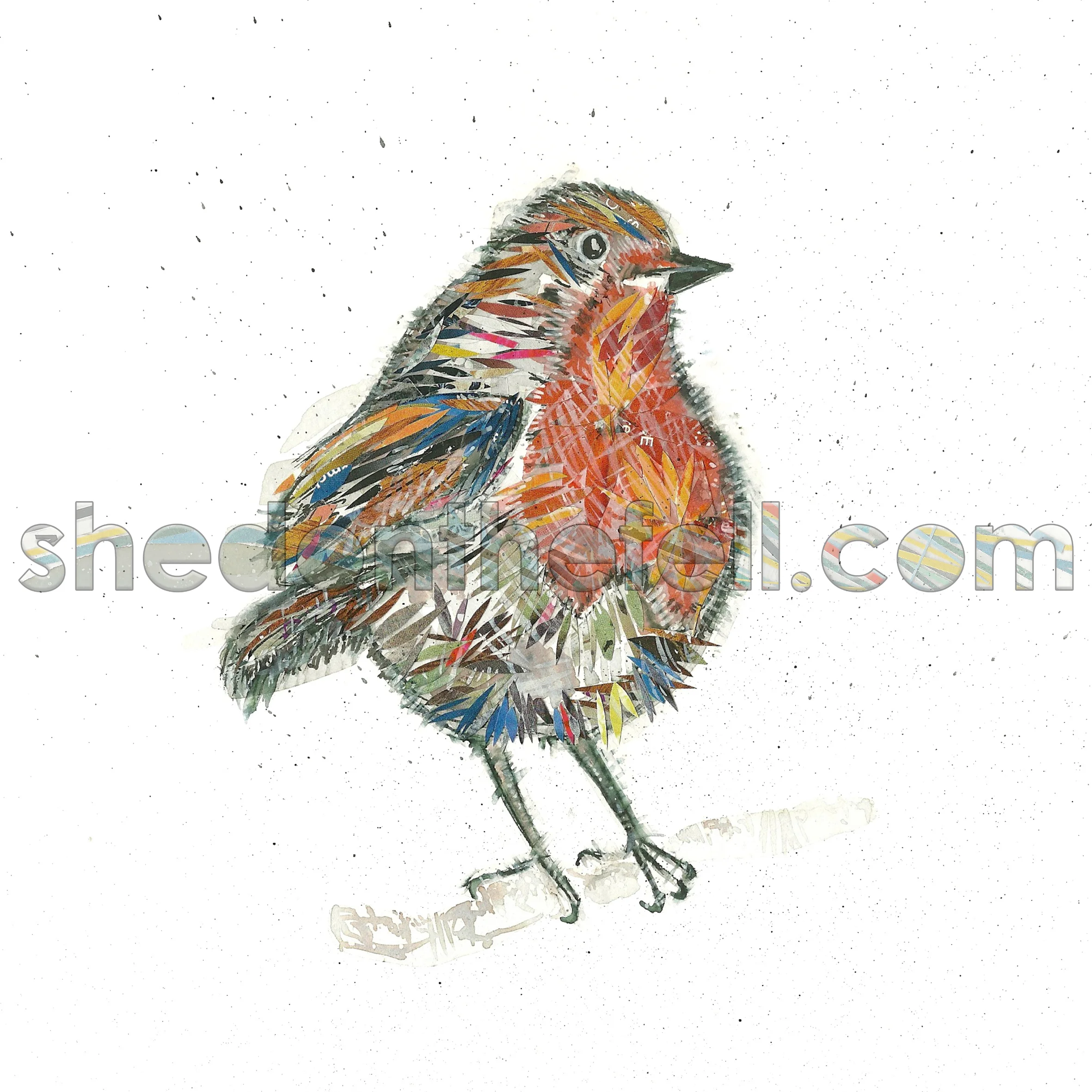 Robin 2 200x200mm Print