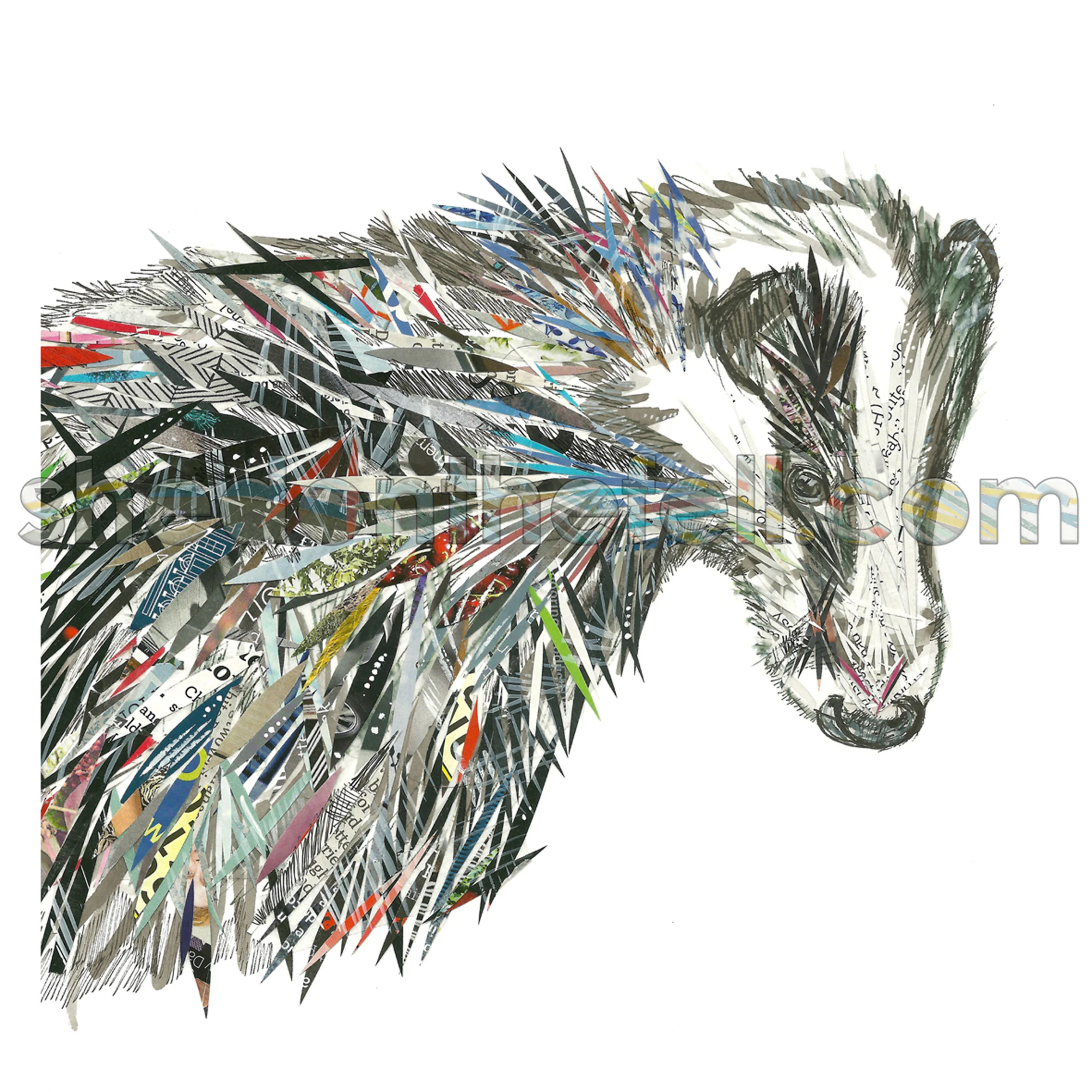 Badger1_watermark.jpg