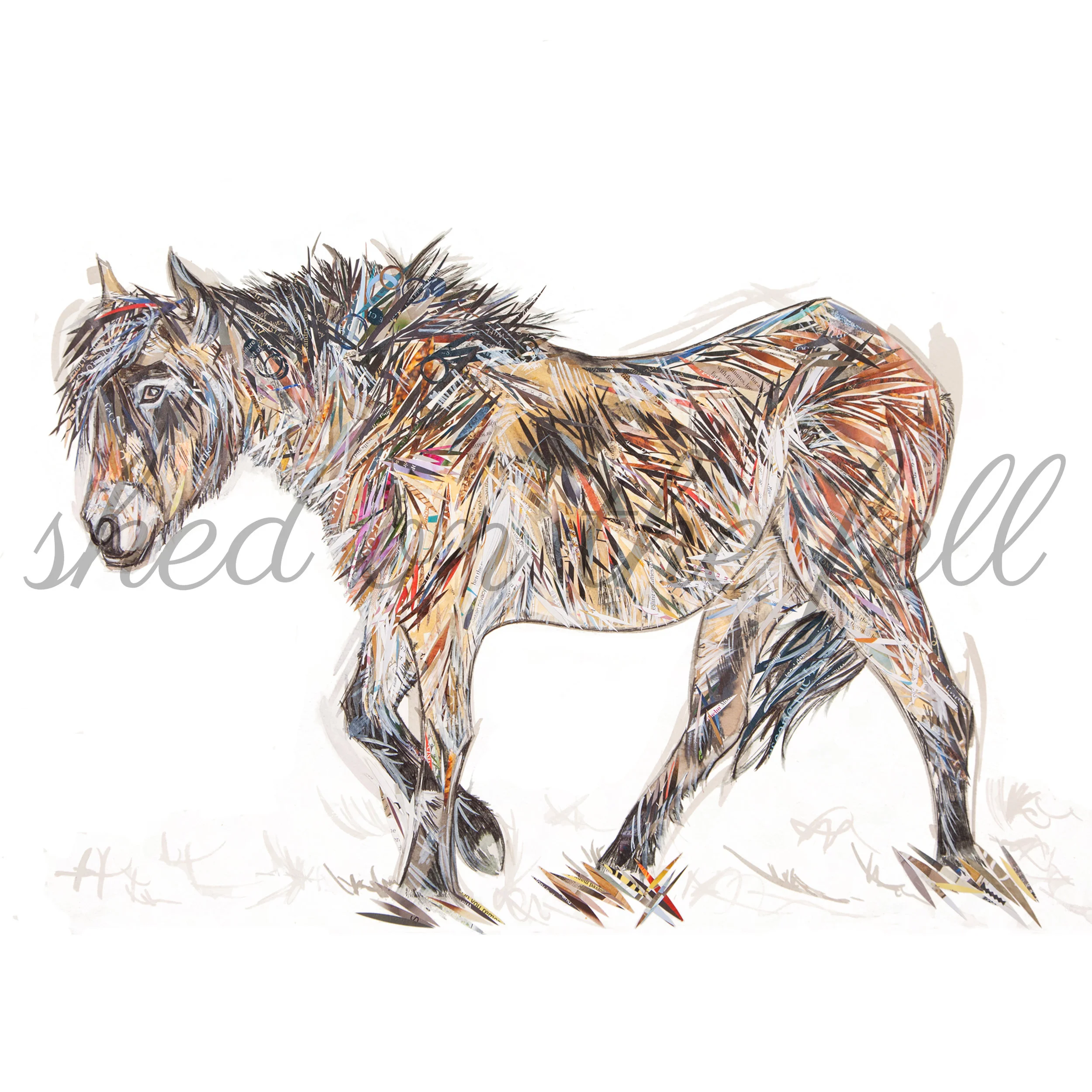 ExmoorPonyPrint1watermark.jpg