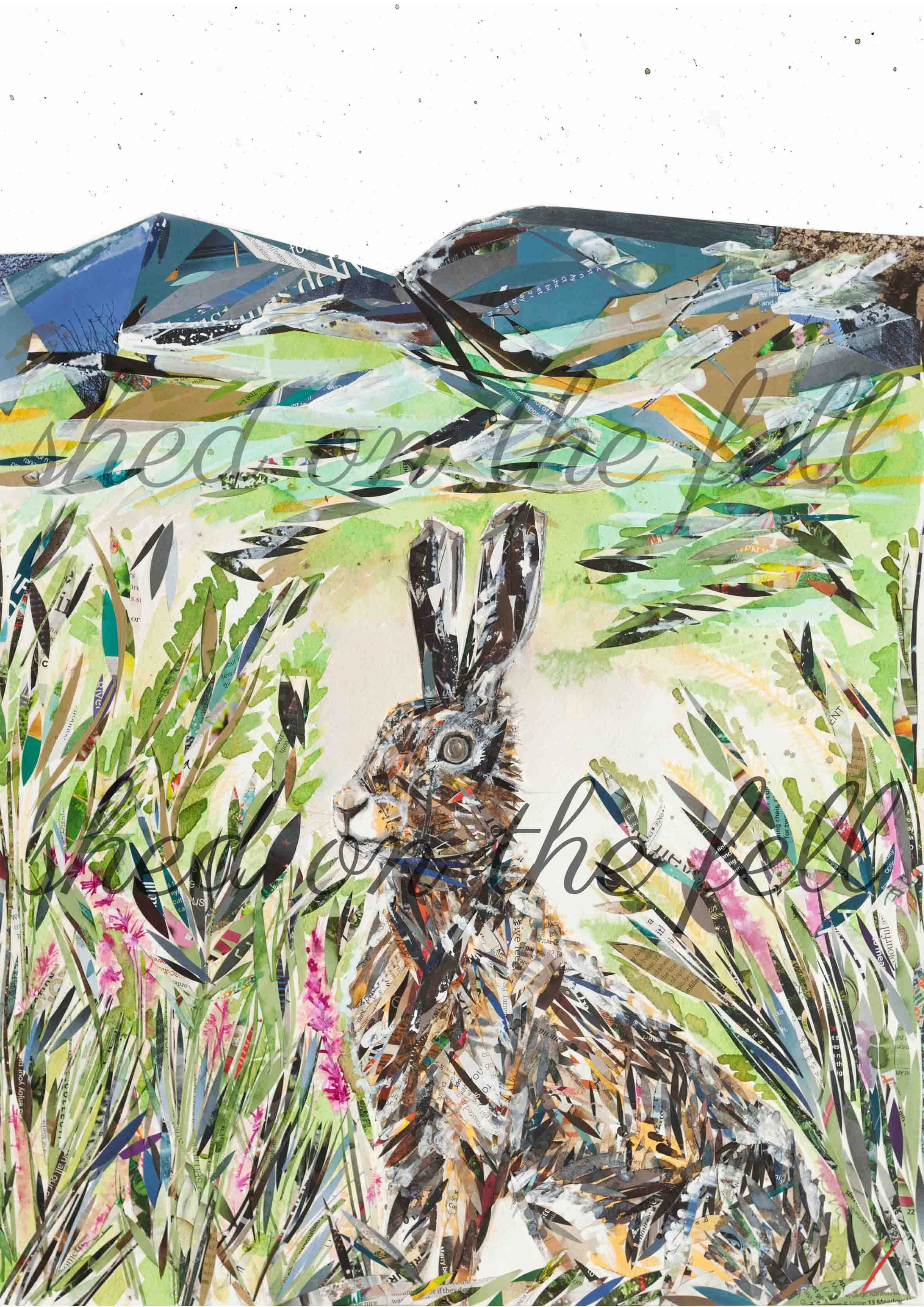 FairSnape-Hare-print-Oct18-hare-in-front-of-the-fells-A3-shed-on-the-fell-watermark.jpg