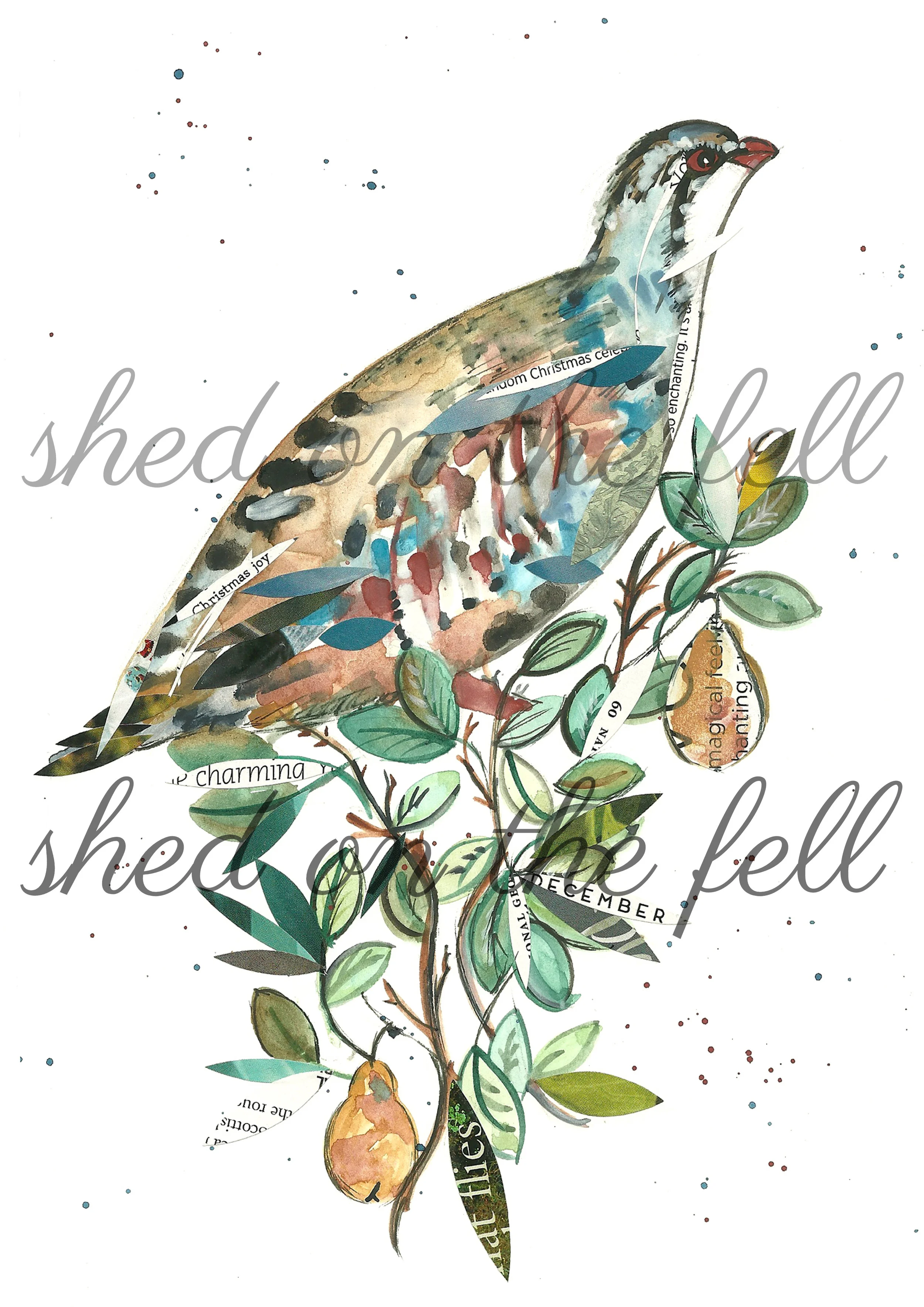 Partridge in a Pear Tree Card