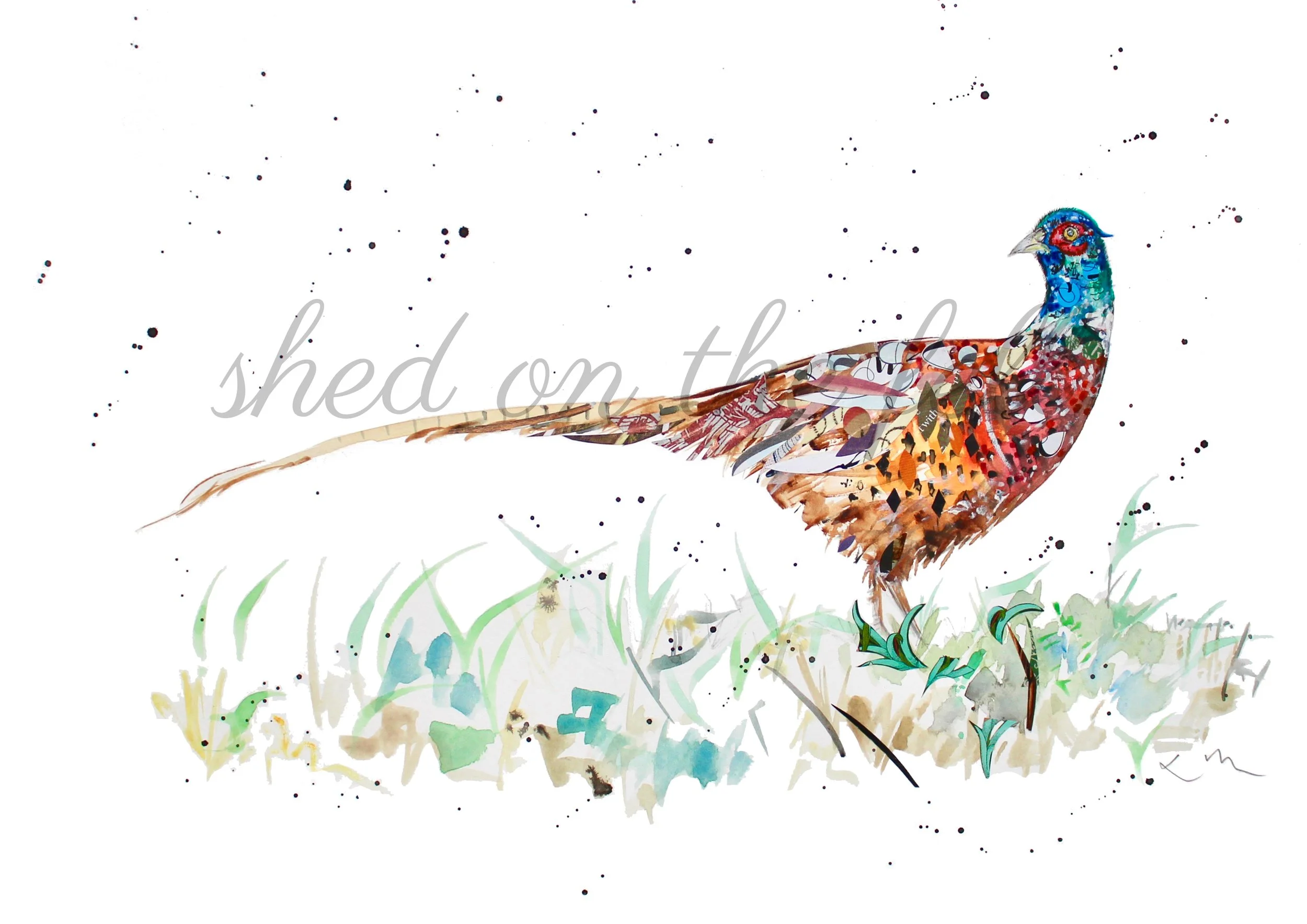 A3Pheasant2021Watermark.jpg
