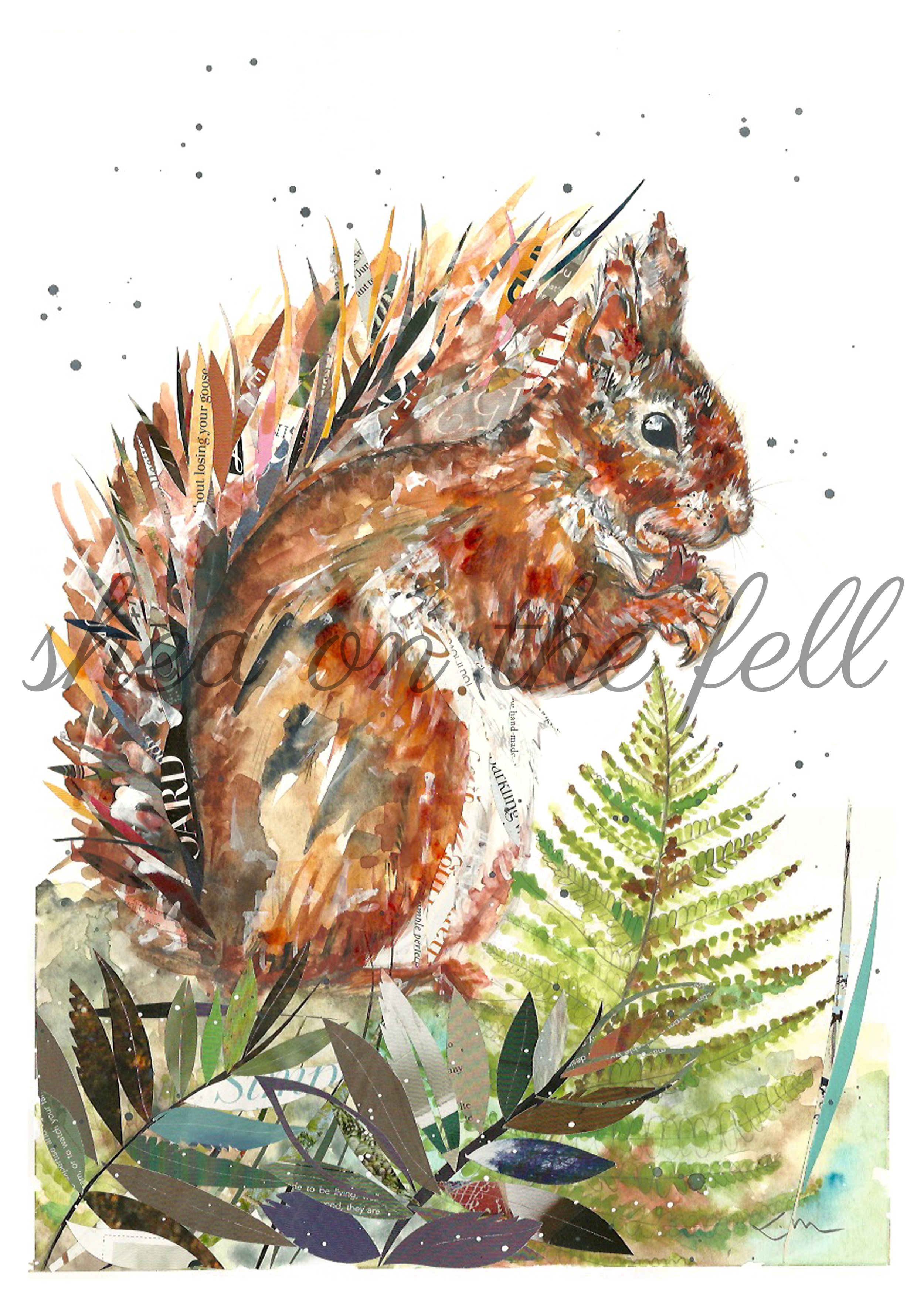SquirrelWatermark.jpg
