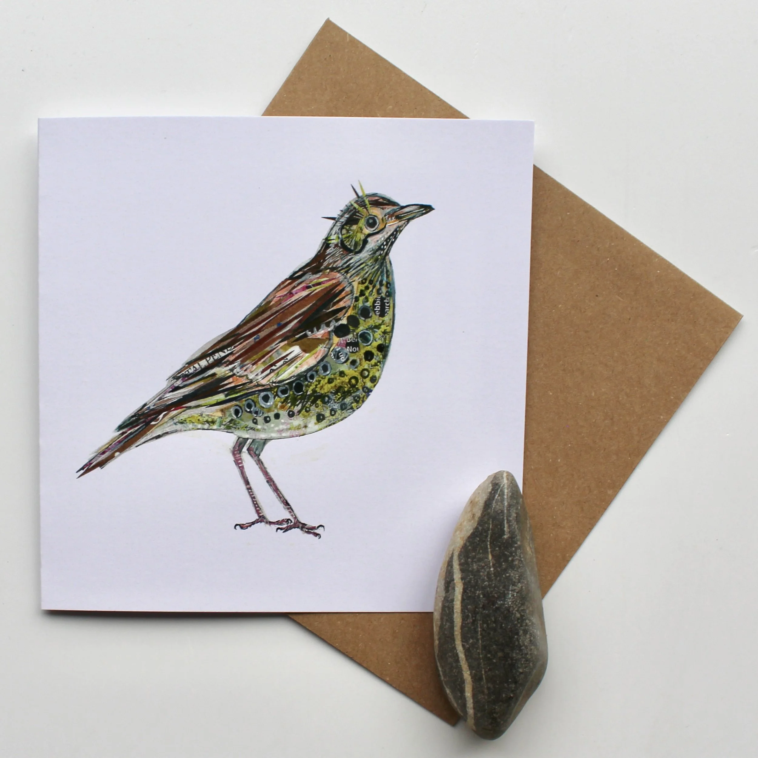 Song Thrush