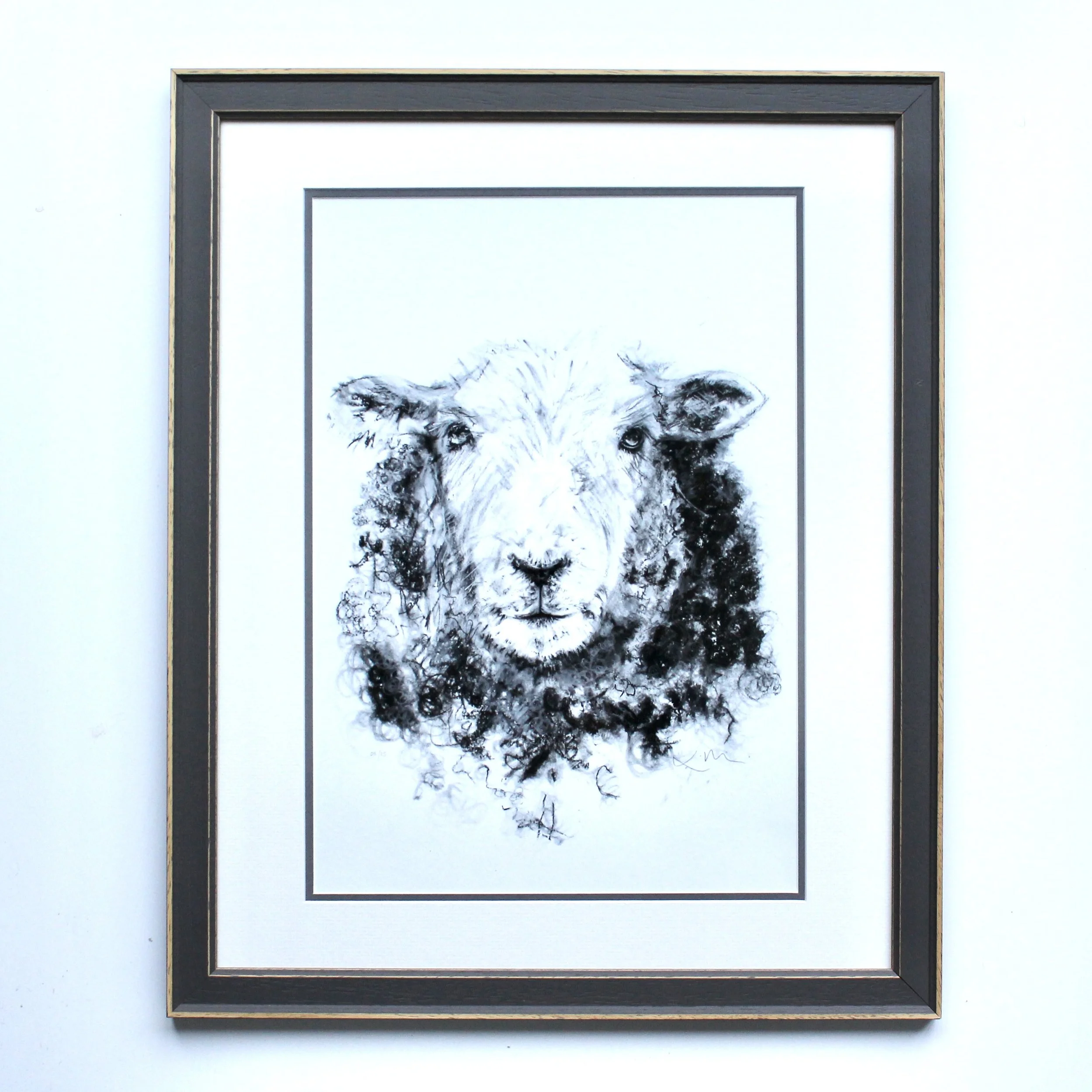 Hardy Ewe A3 Print