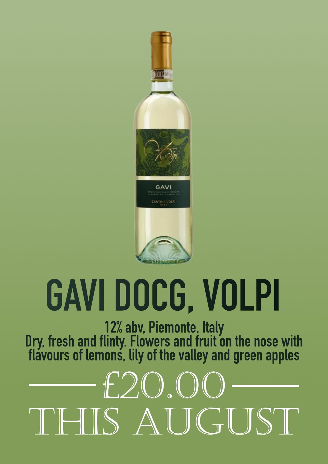 Aug Gavi Web.jpg
