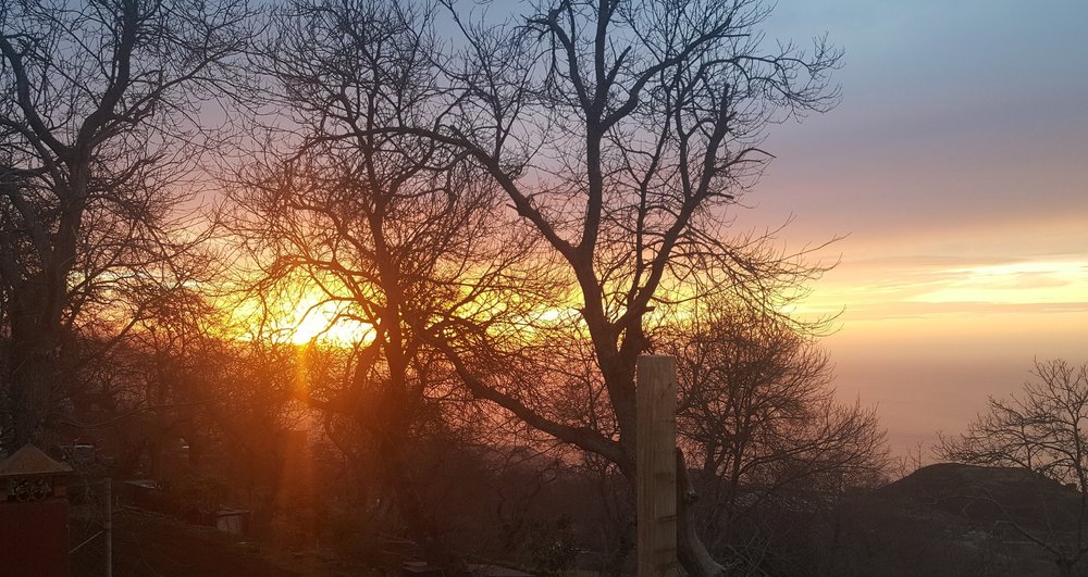 20180301_070334.jpg