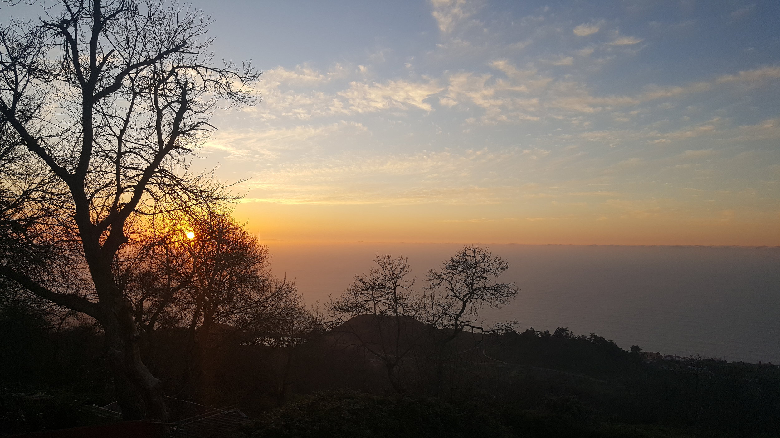 20180404_202606.jpg