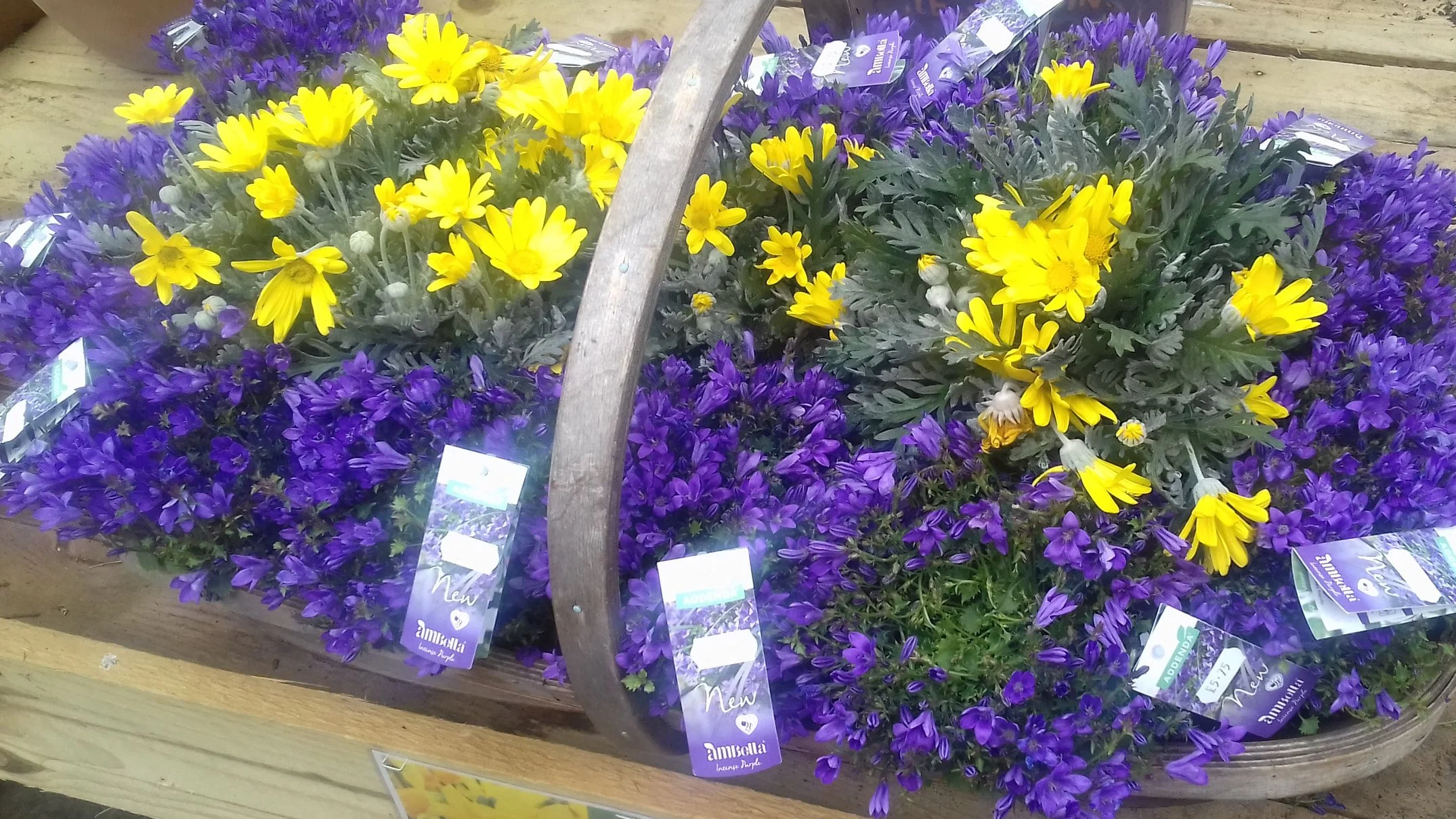 20190327_112547.jpg