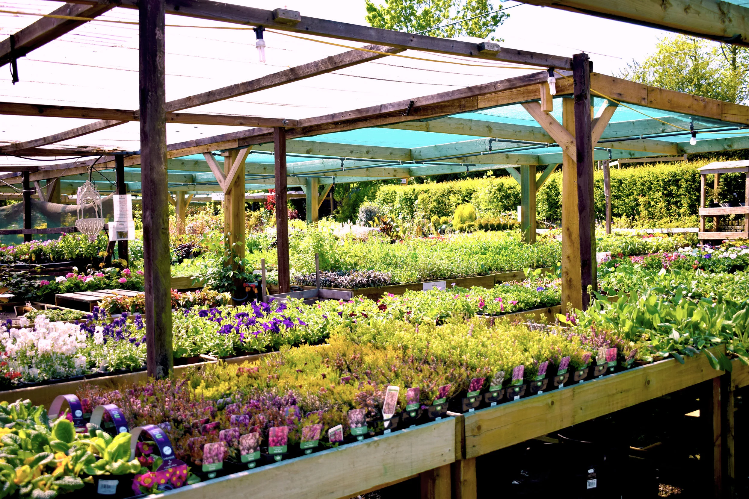 Flower-Beds.jpg