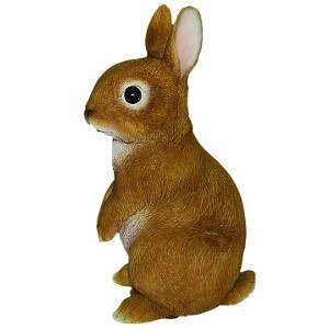 XRL-RB24-E-Young-Standing-Rabbit.jpg