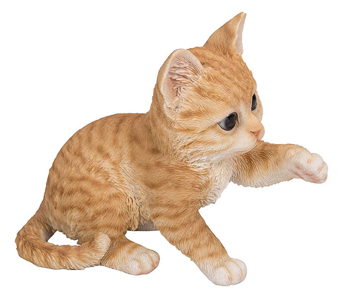 Pet Plans £12.99 V86