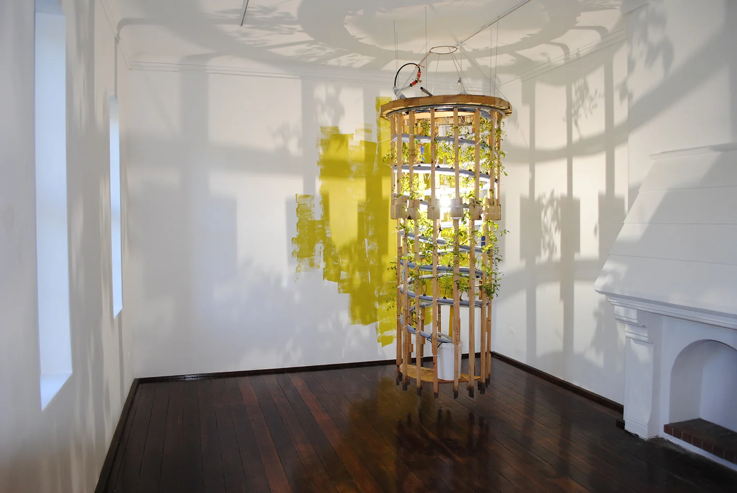 Dream Bore 2009 Tomatoes, water, grow lamp, pine, poly-tube, water pump Photo: Mark Parfitt