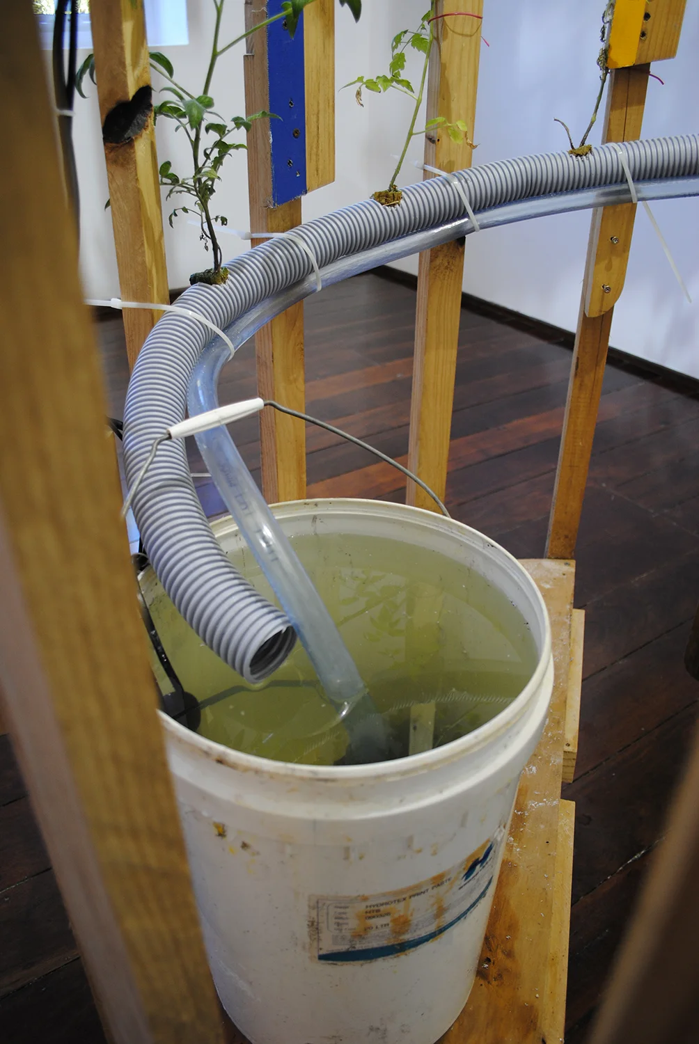 Dream Bore 2009 Tomatoes, water, grow lamp, pine, poly-tube, water pump Photo: Mark Parfitt