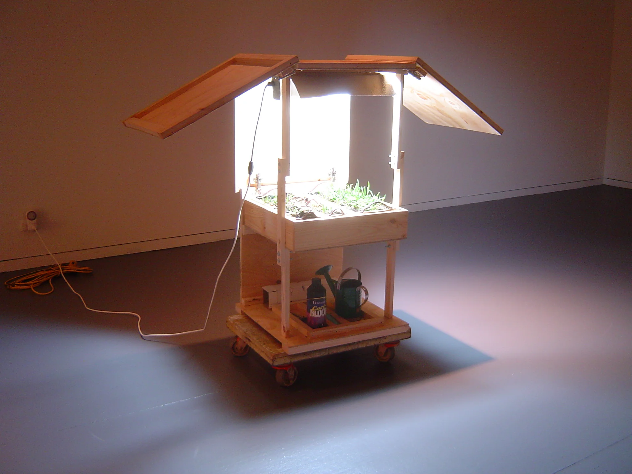 Economy Box (Grass Production) 2007 Grass, grow lamp, pine, ply