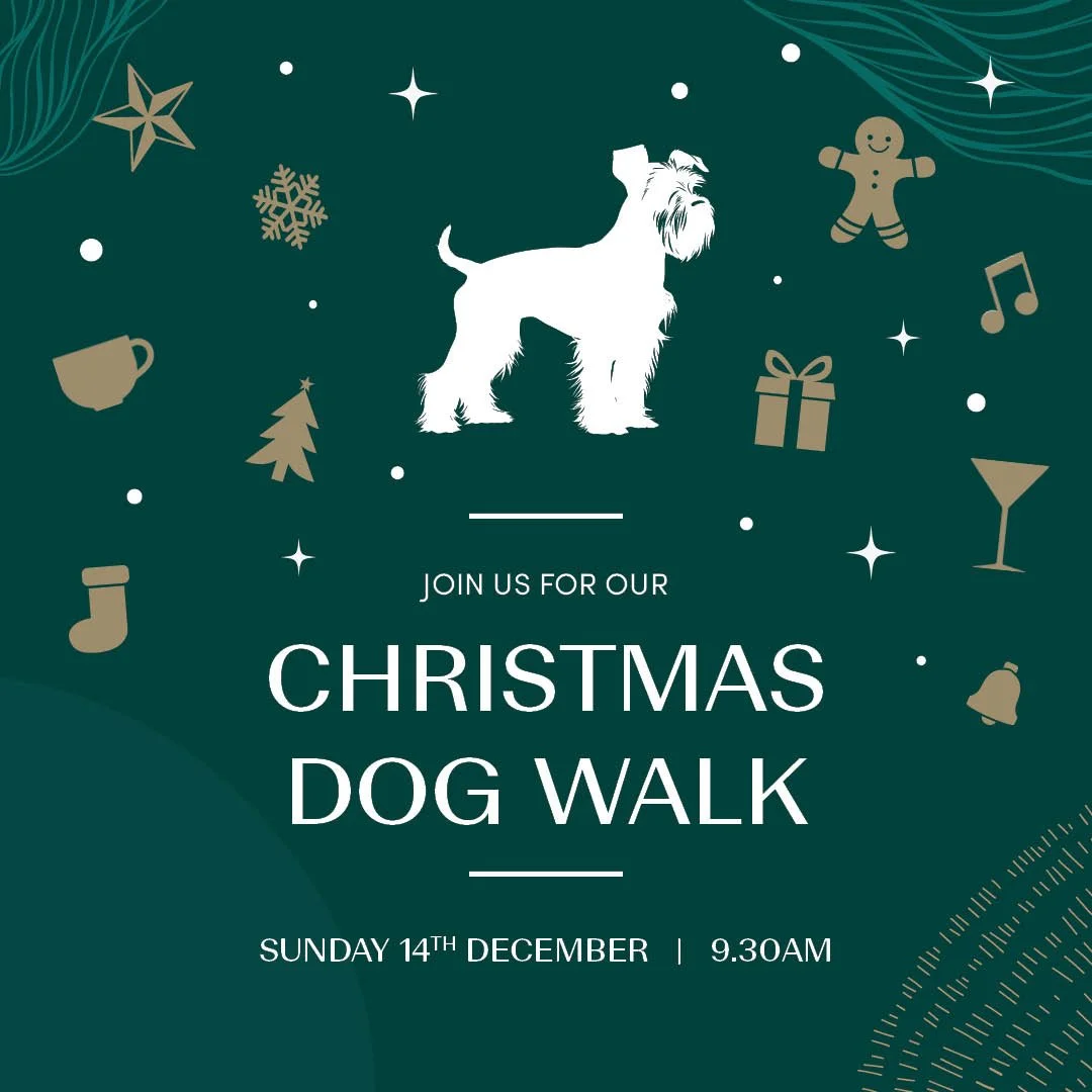 Festive Dog Walk