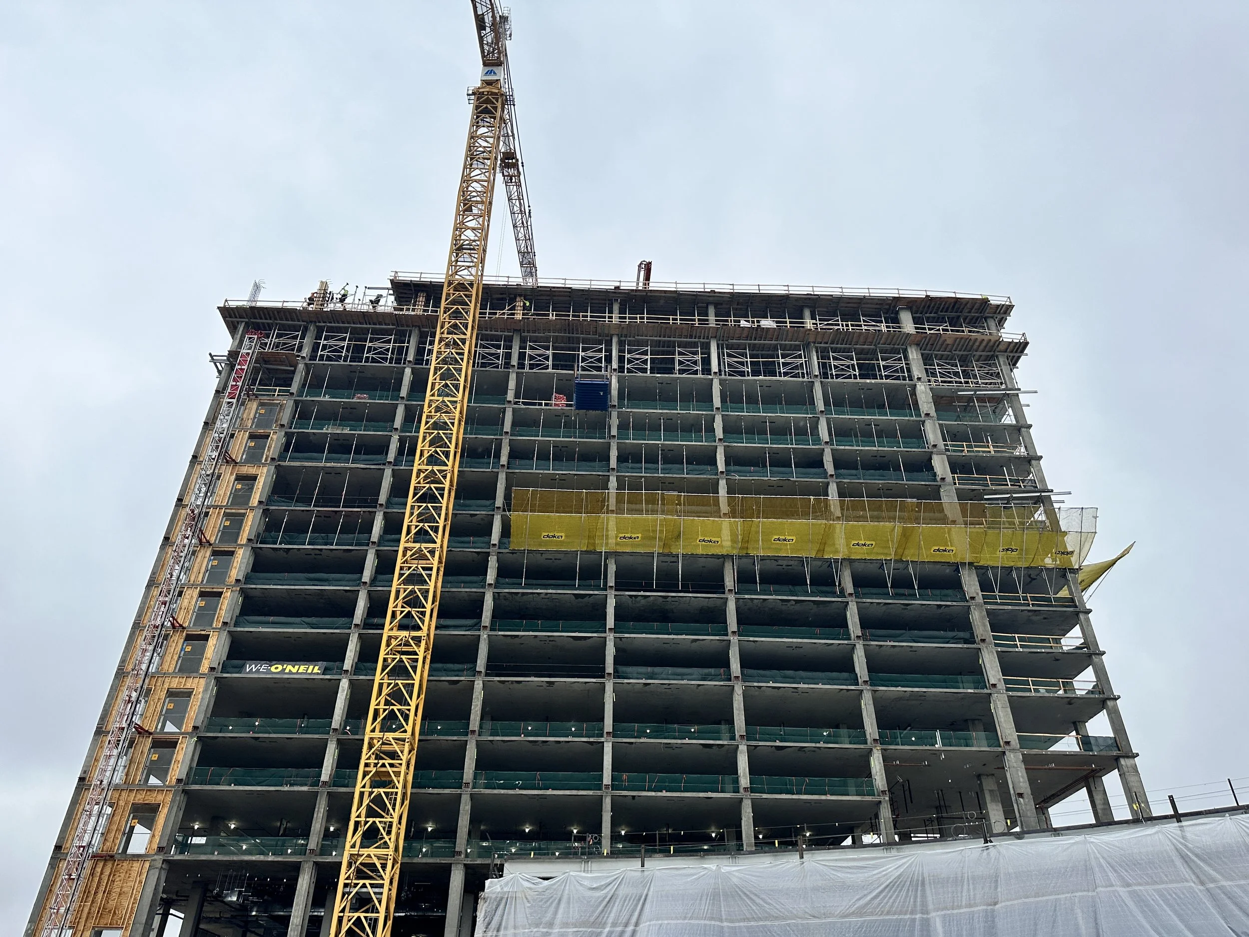 2023-11-21 11.21.27.jpg