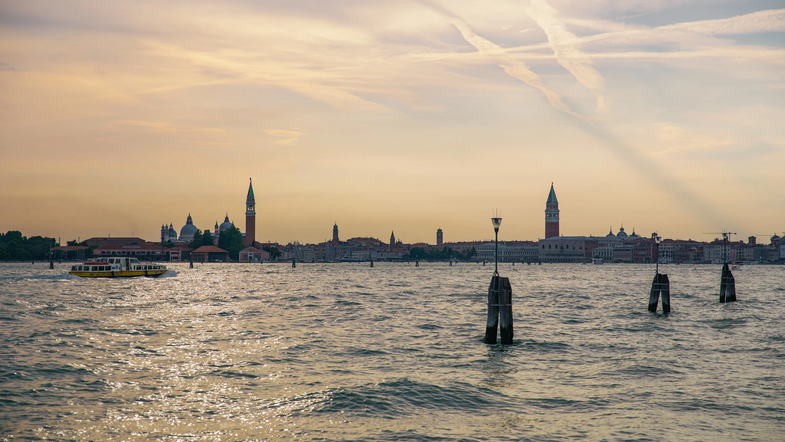 untitled 1 by Dominic Martin.jpg