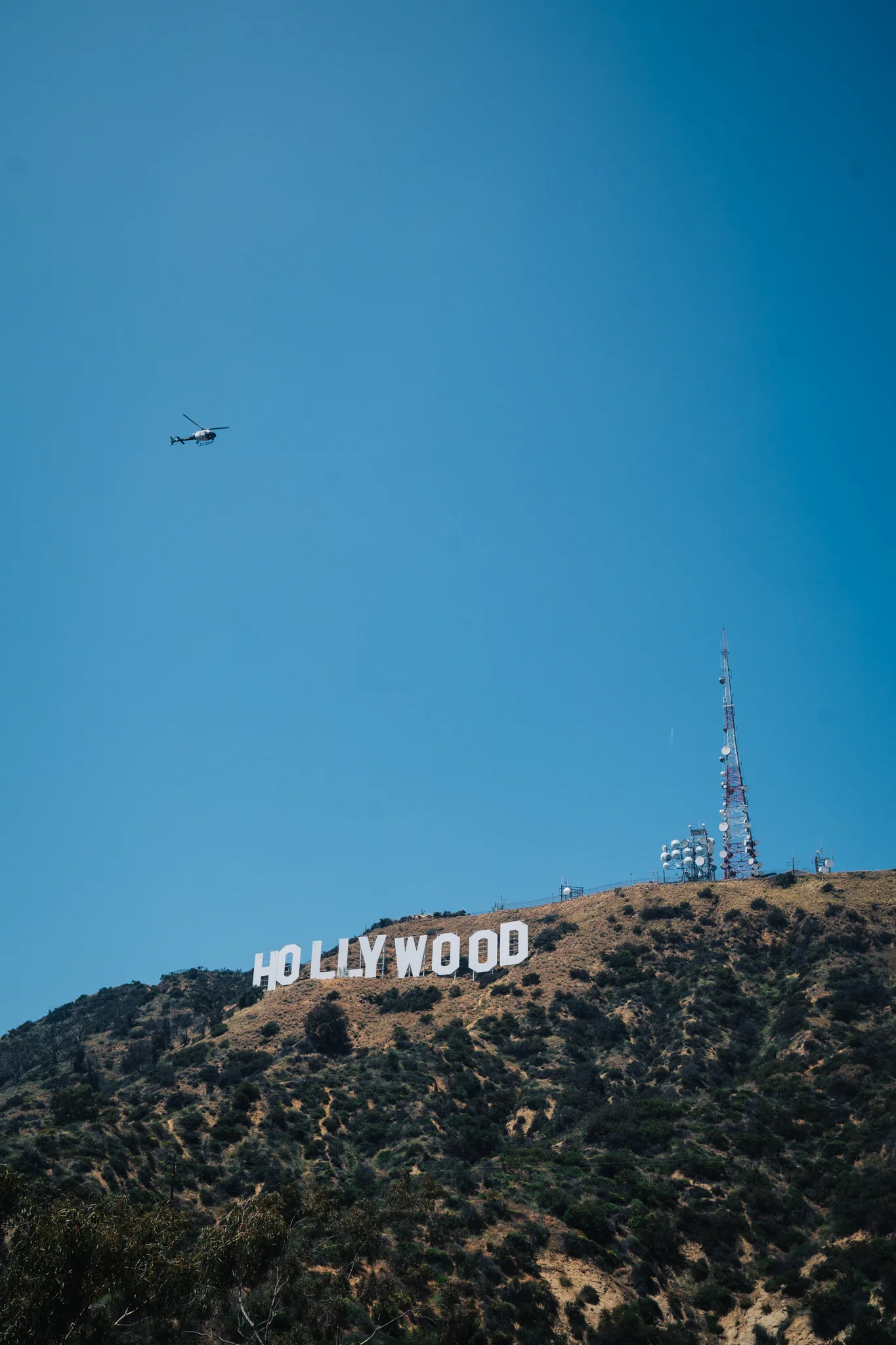 Photo 1 by Dom Martin.jpg