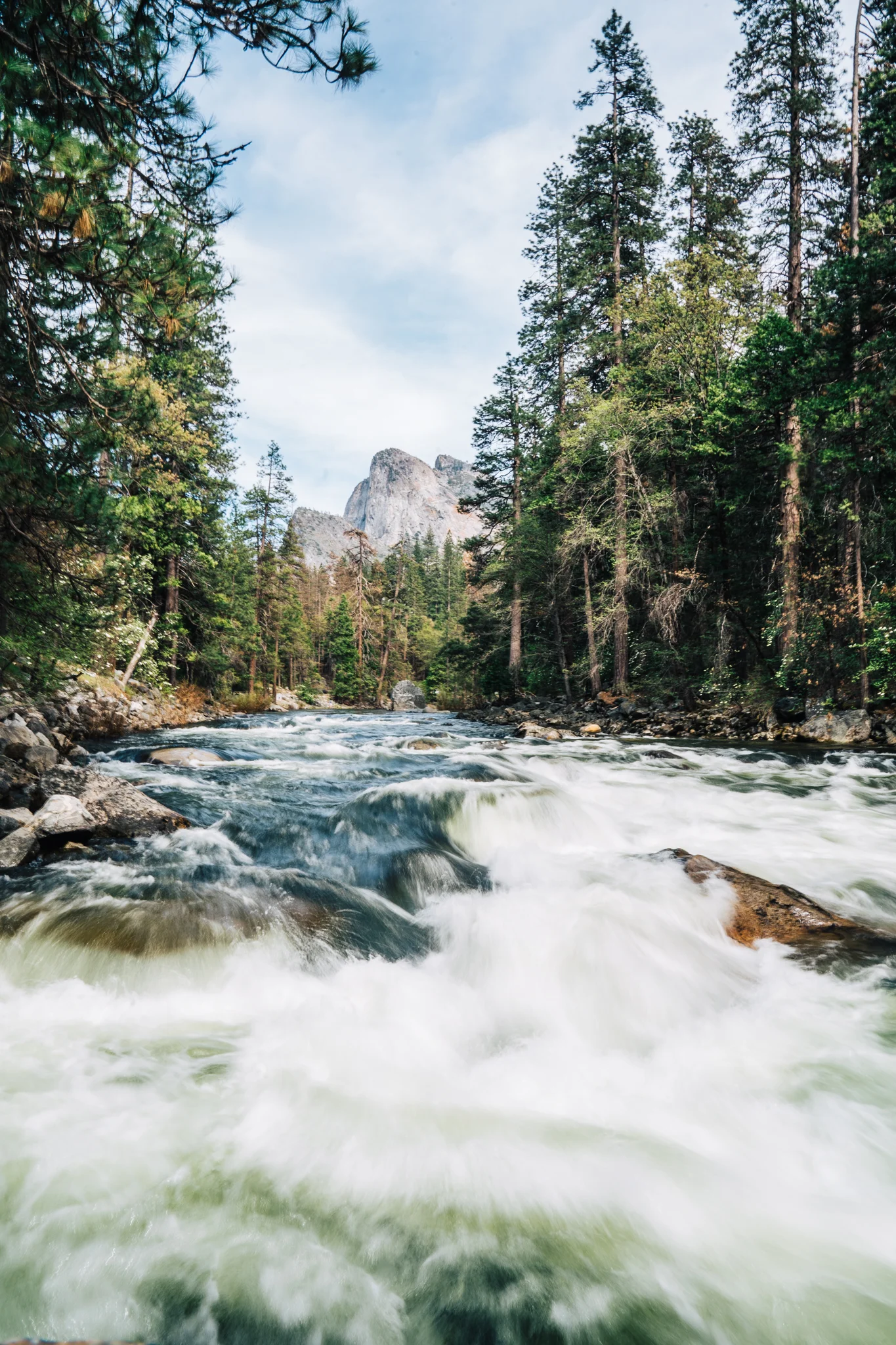Photo 2 by Dom Martin.jpg